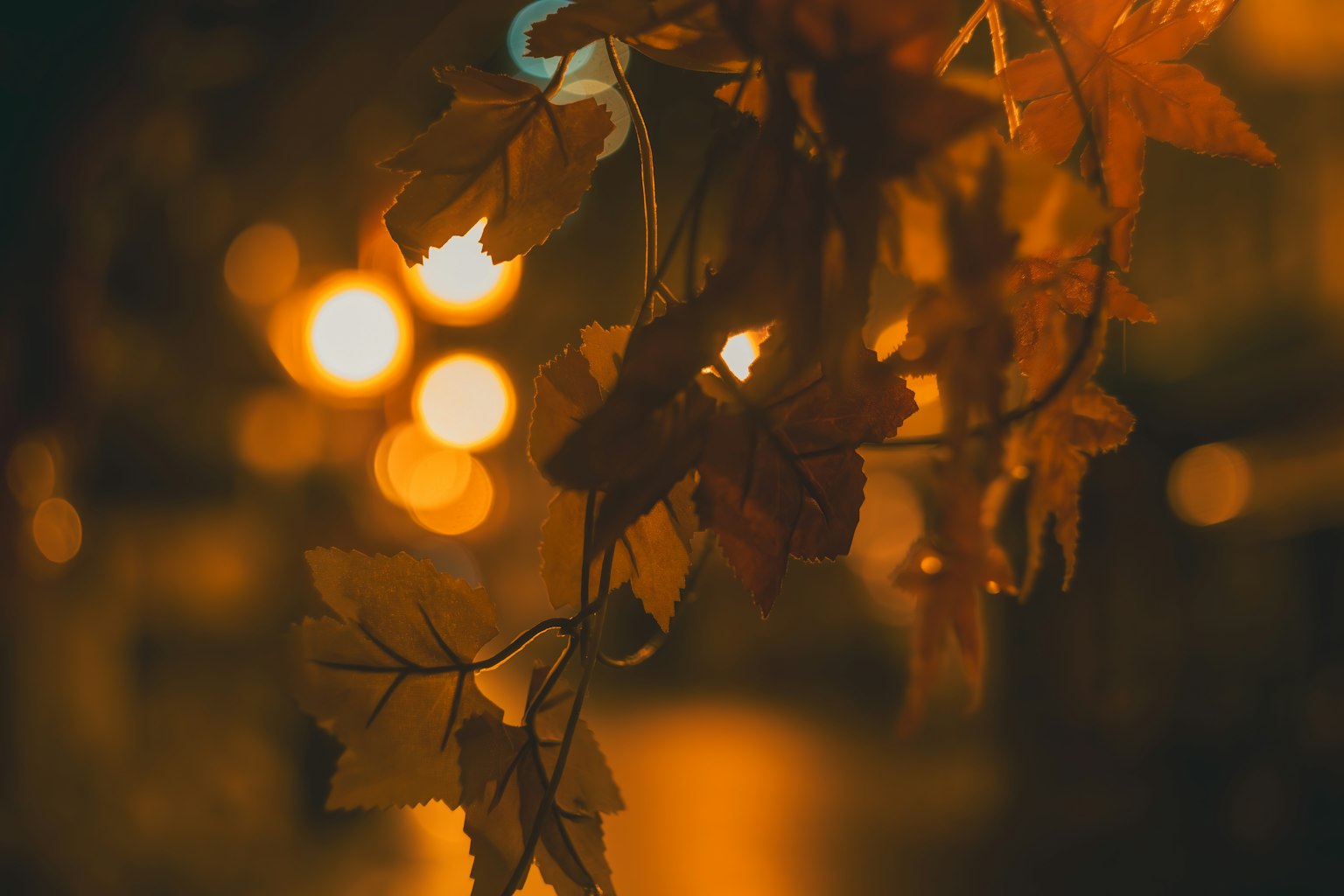 夜間街景中懸掛的橙色葉子
