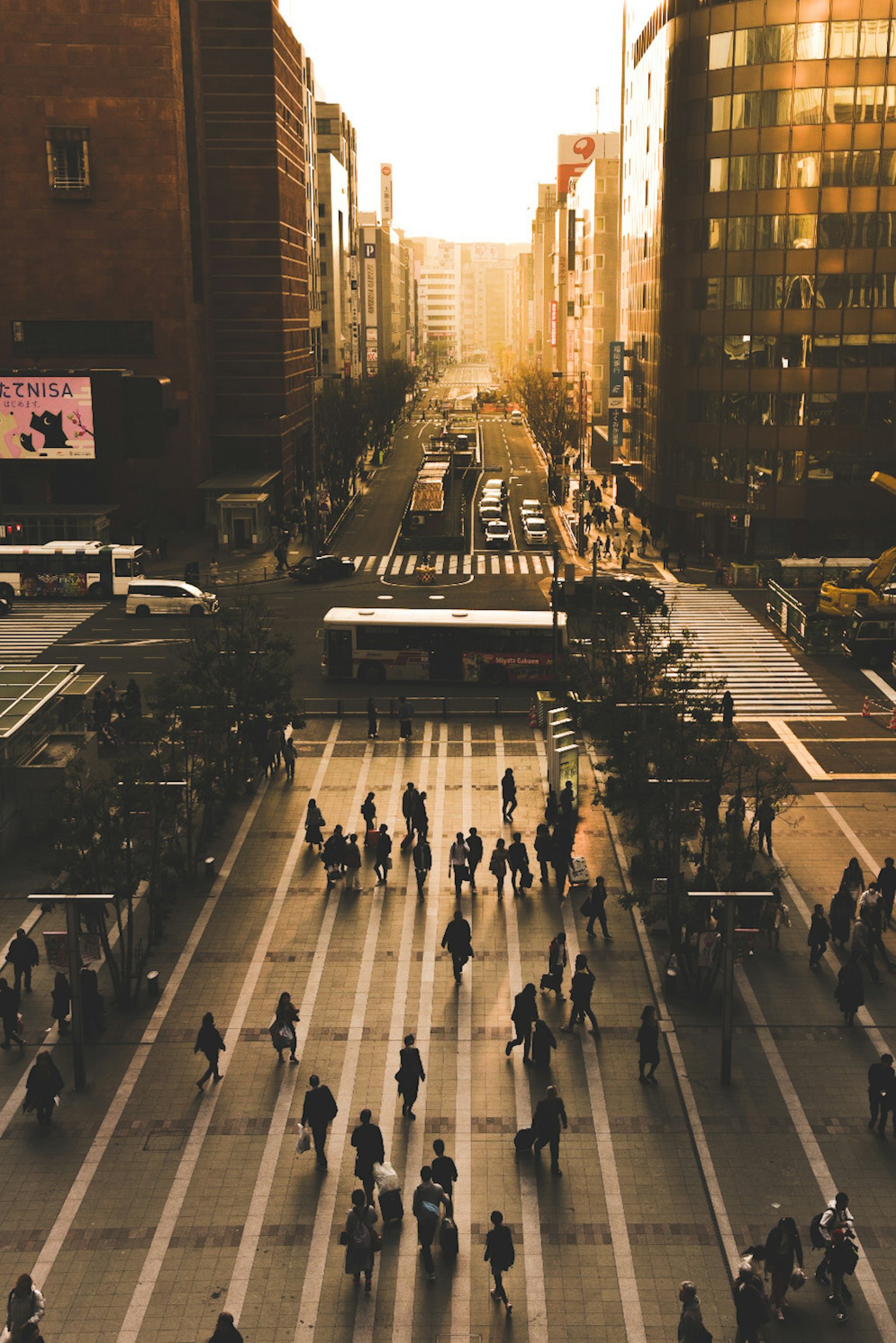 夕日が差し込む都市の交差点で歩行者が行き交う様子