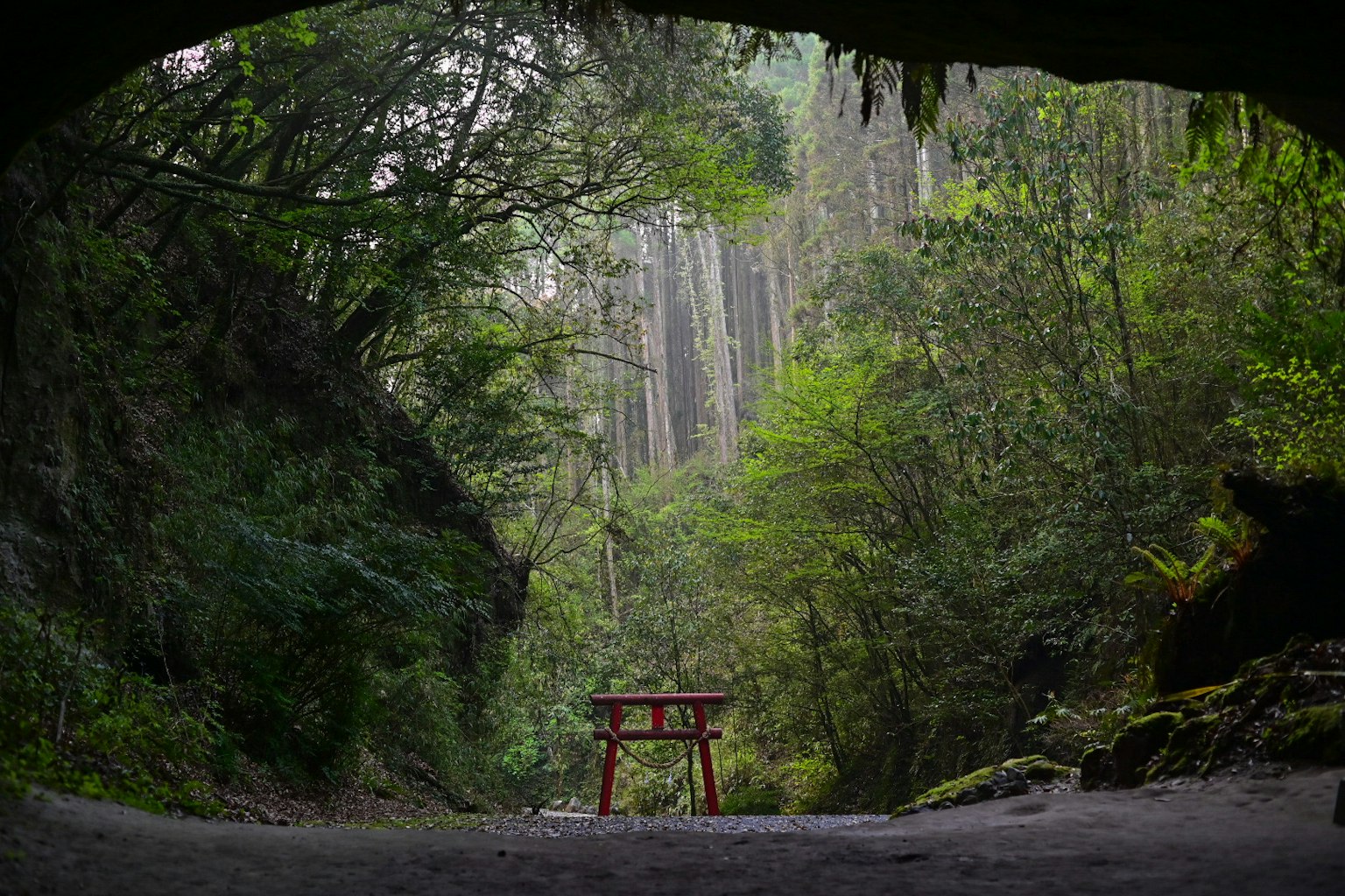 Blick auf ein rotes Torii-Tor, eingerahmt von einem Höhleneingang und umgeben von üppigem Grün