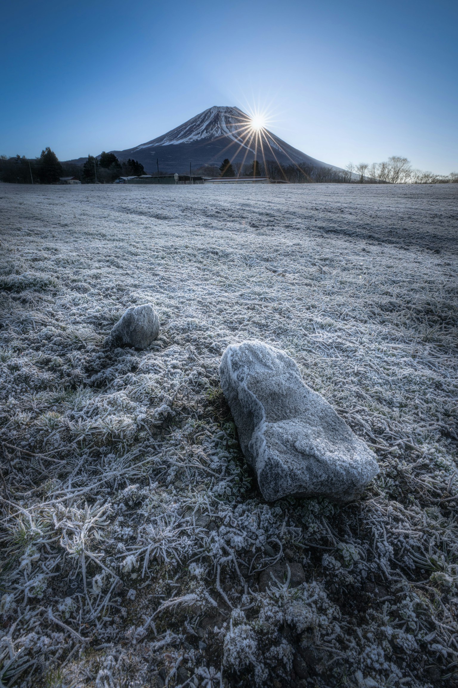霜凍覆蓋的草地 前景有石頭 背景是富士山