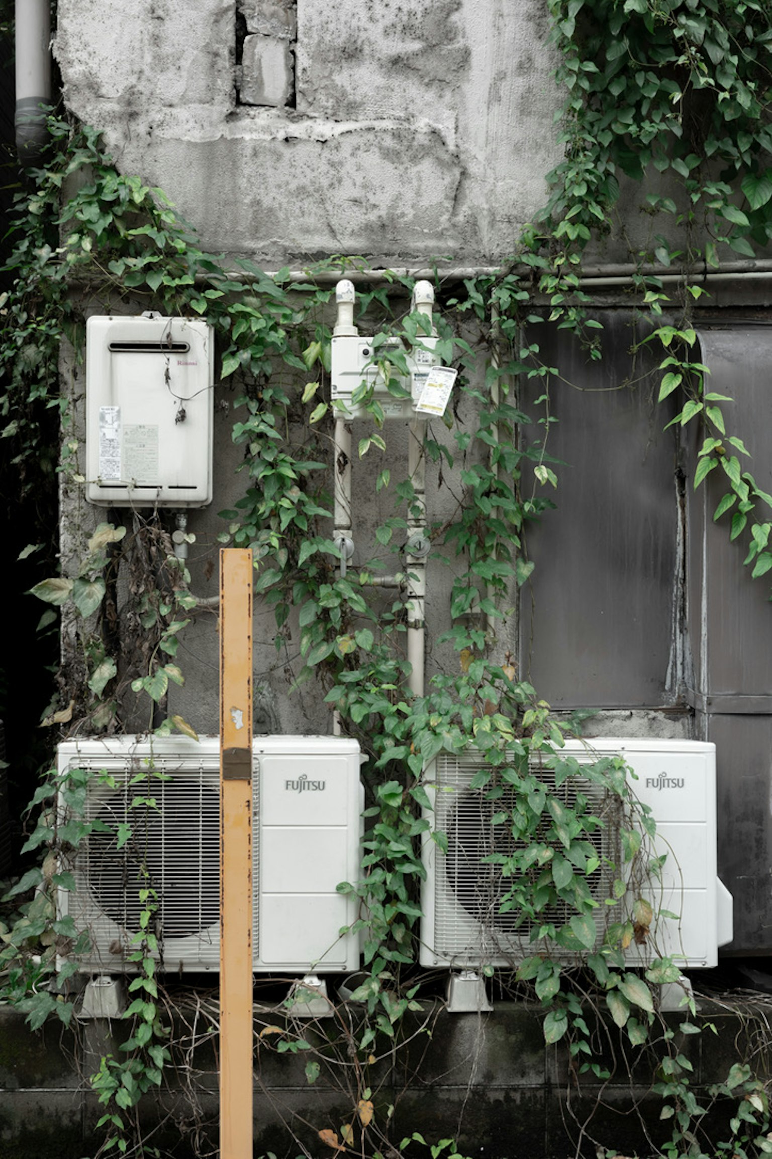 A weathered wall covered with green vines and air conditioning units