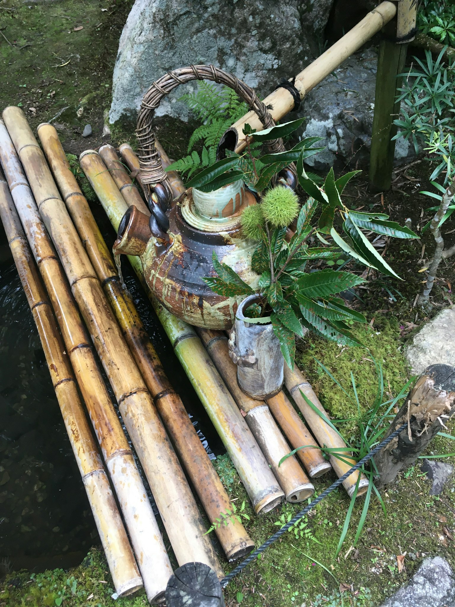 竹子上的陶瓷茶壺和植物排列