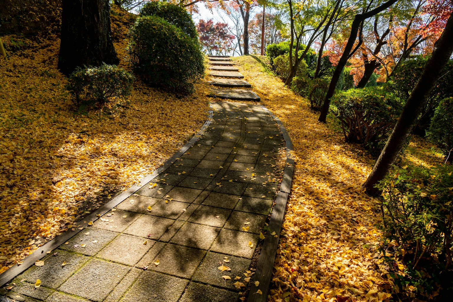 Sentiero in pietra in un parco autunnale circondato da alberi colorati