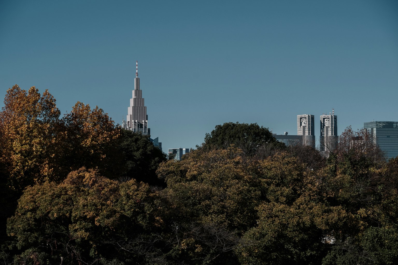 View of Empire State Building behind autumn-colored trees