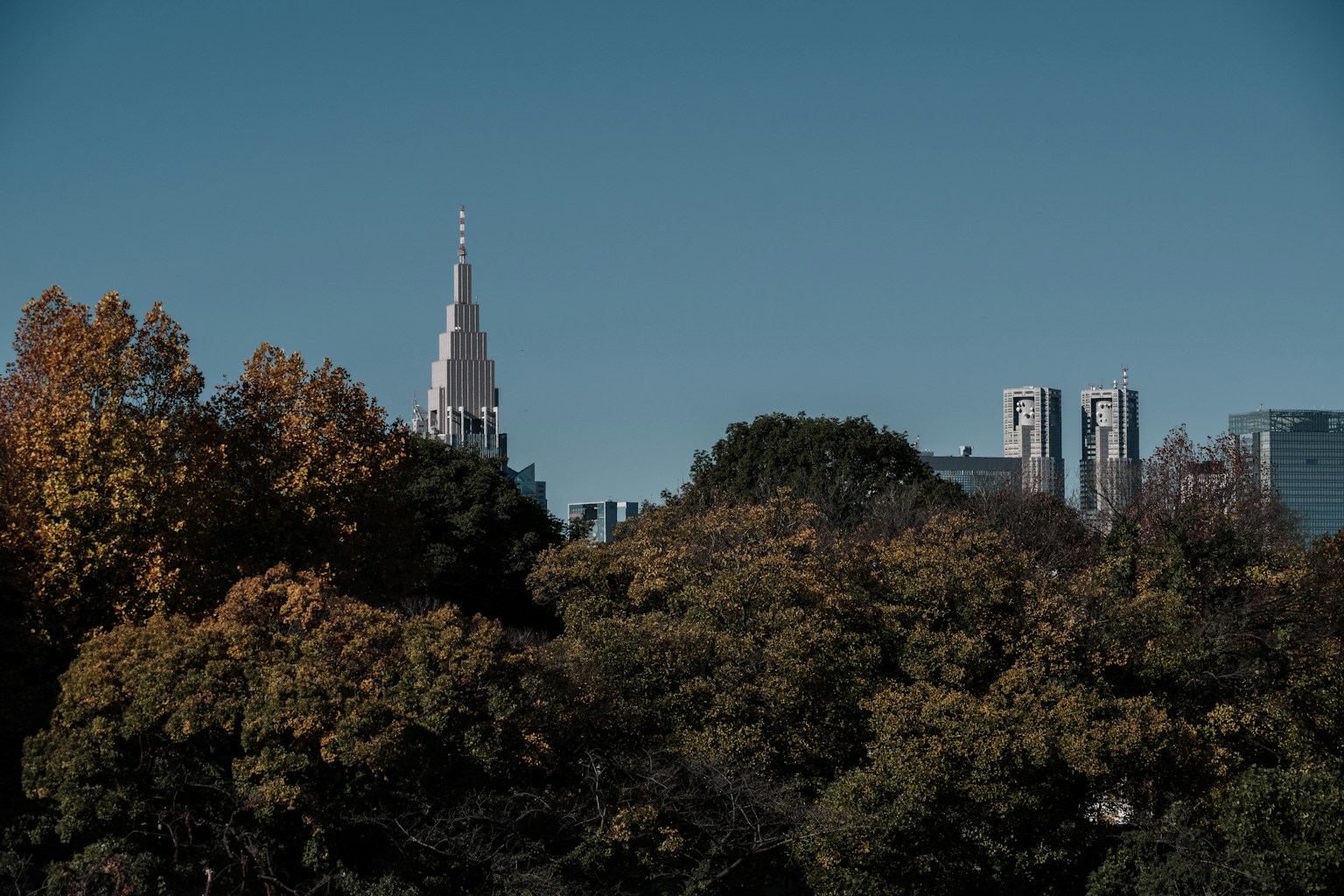 Vue de l'Empire State Building derrière des arbres aux couleurs d'automne
