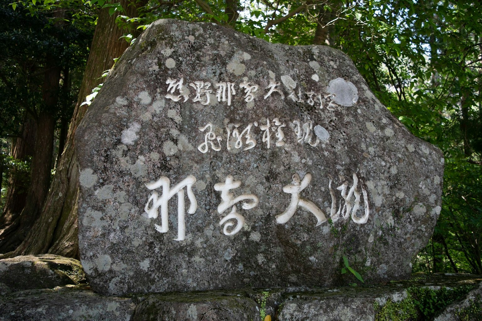 Large stone with carved inscriptions surrounded by nature