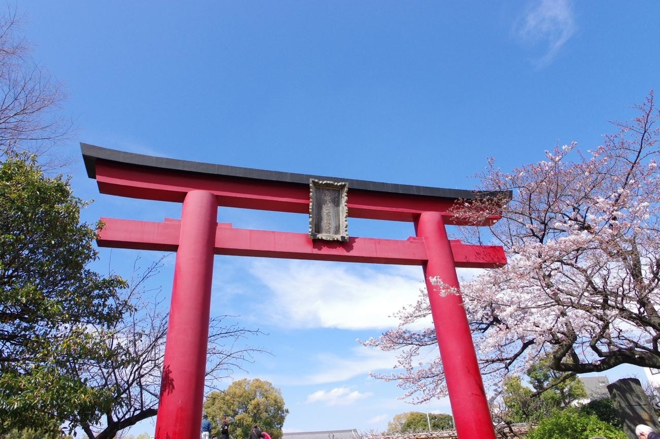 朱红色鸟居与盛开的樱花映入神社天空