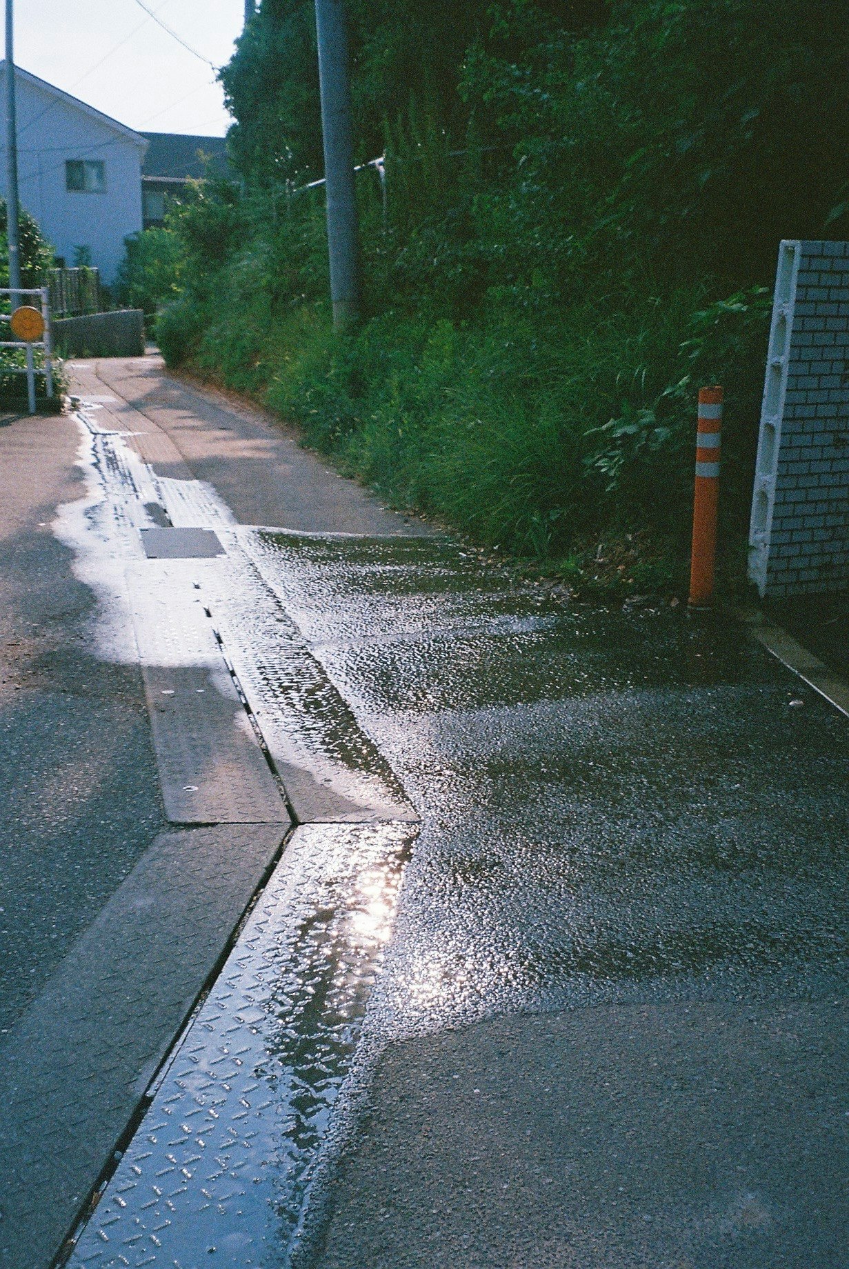 雨上がりの路地の濡れたアスファルトと側溝