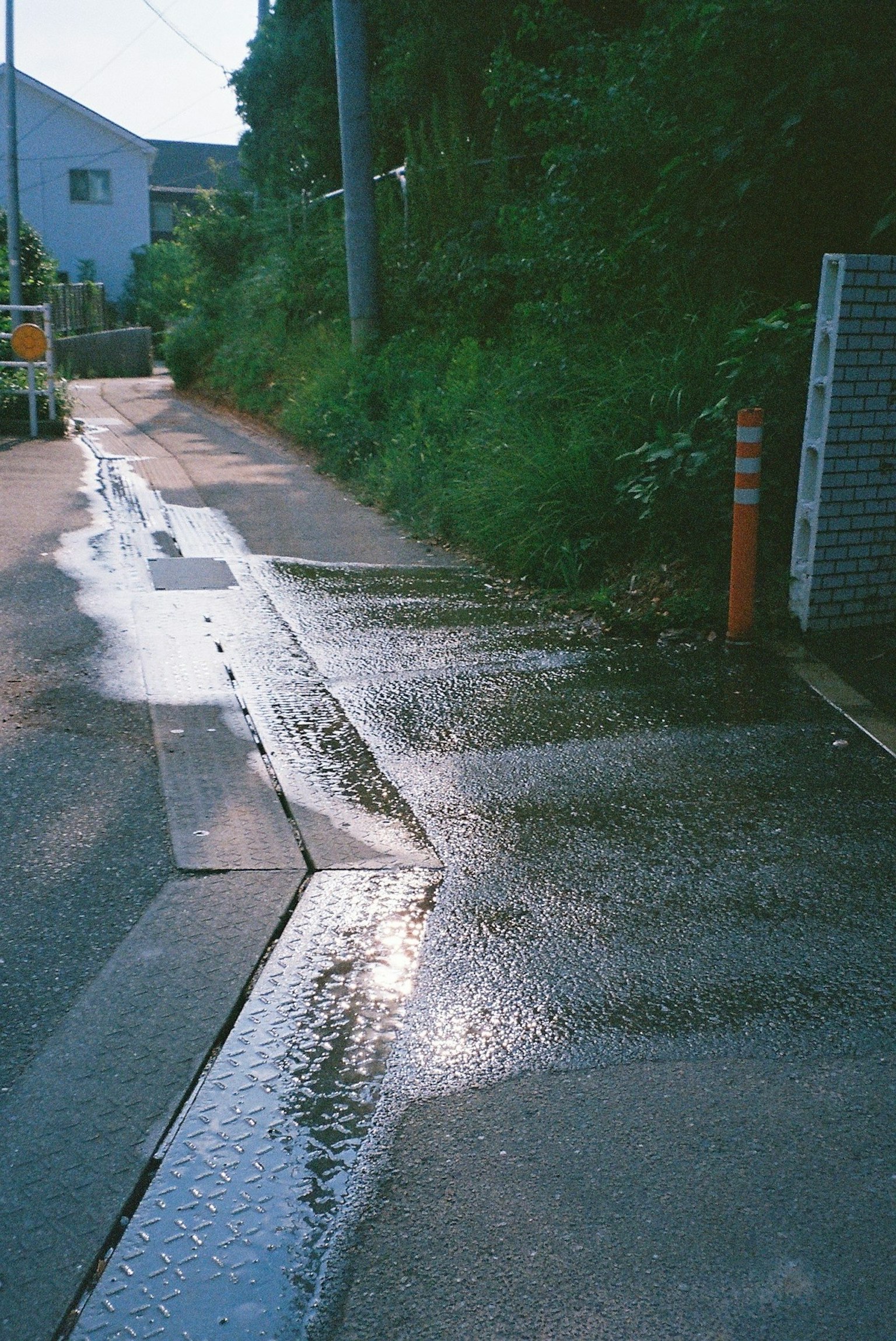 photo-GQWLq4WOLtrmSyGmixHb-image