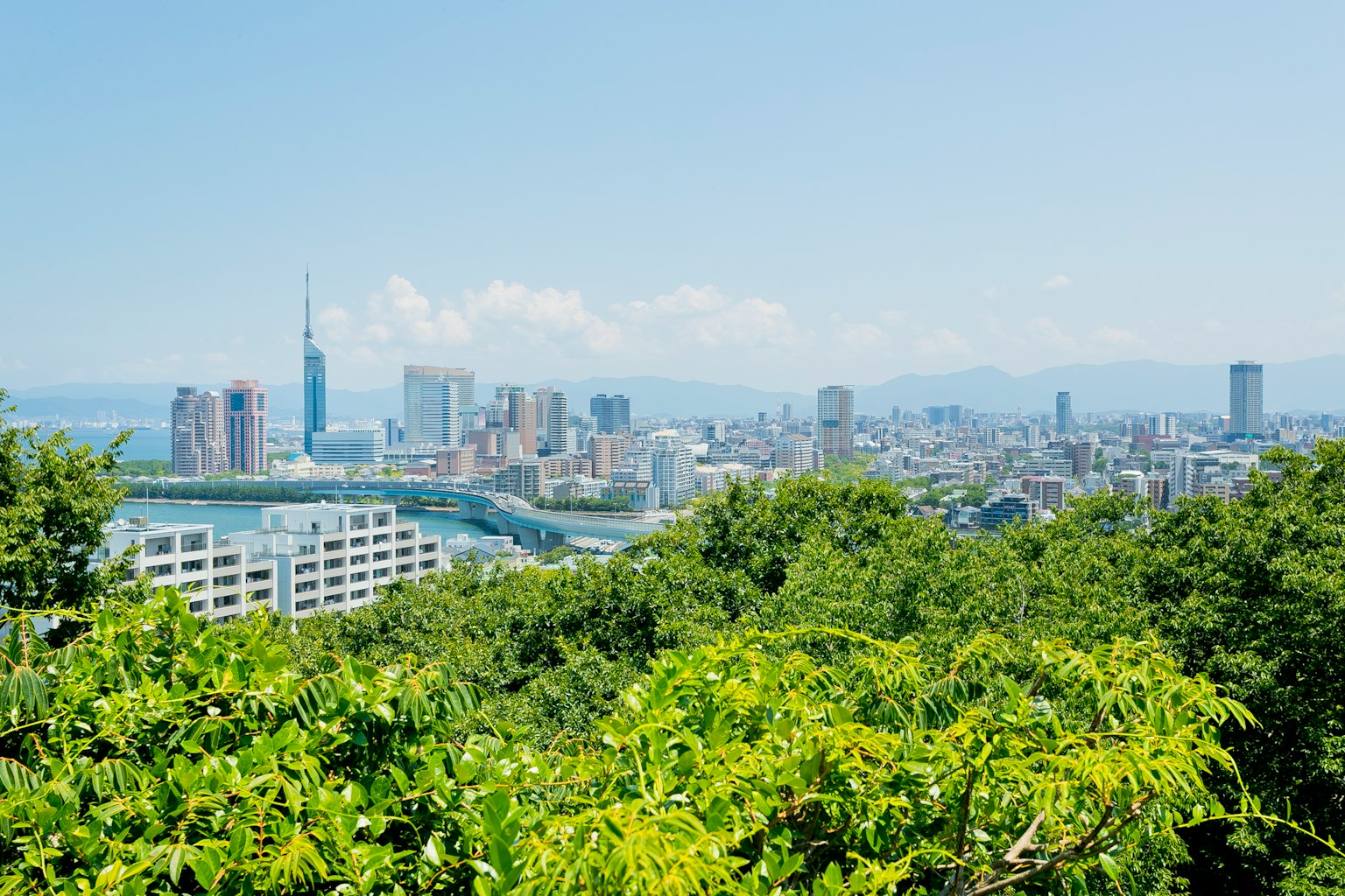 Panoramic view of a city surrounded by green trees featuring a skyline of tall buildings and blue sky