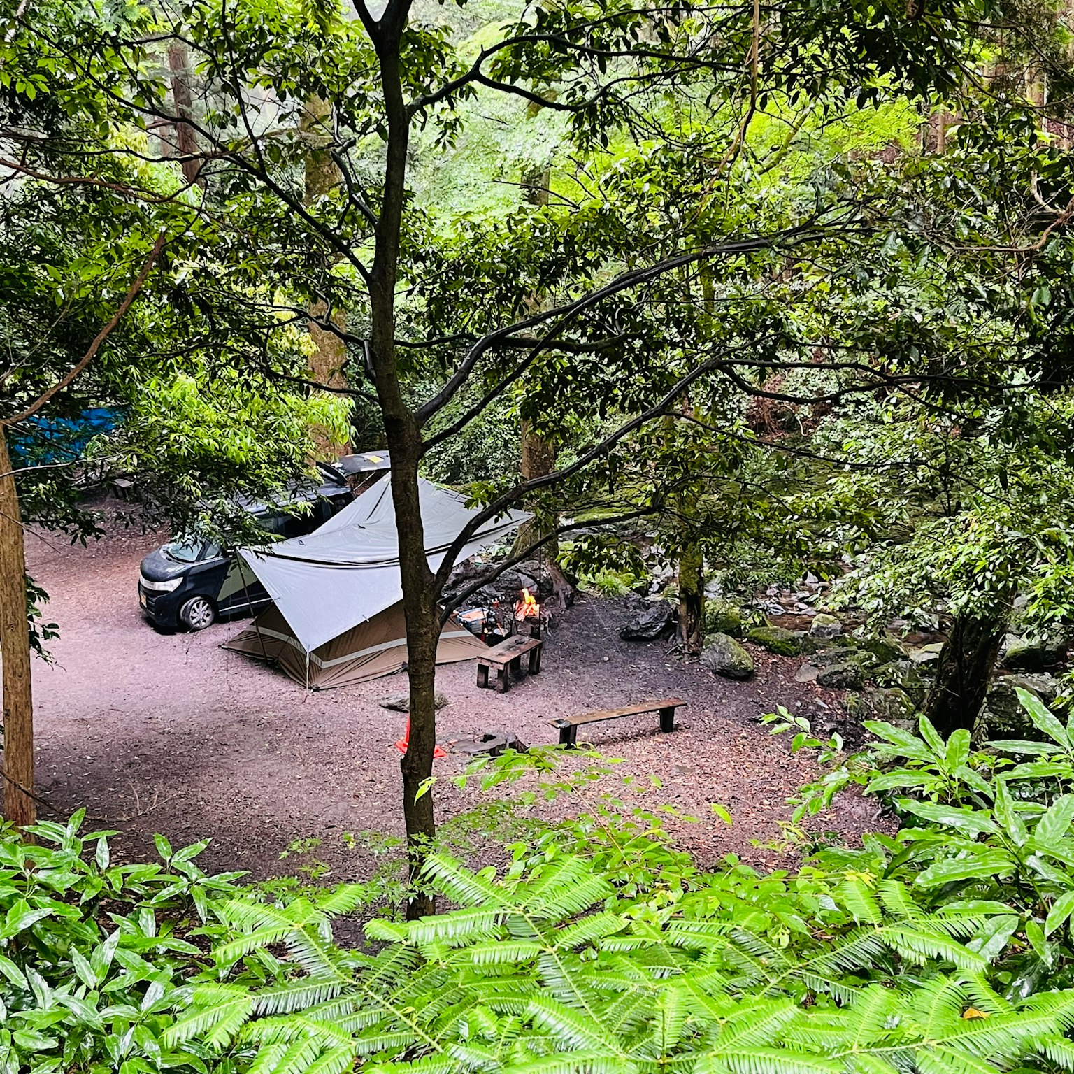 Situs perkemahan di hutan yang rimbun dengan kendaraan dan tenda