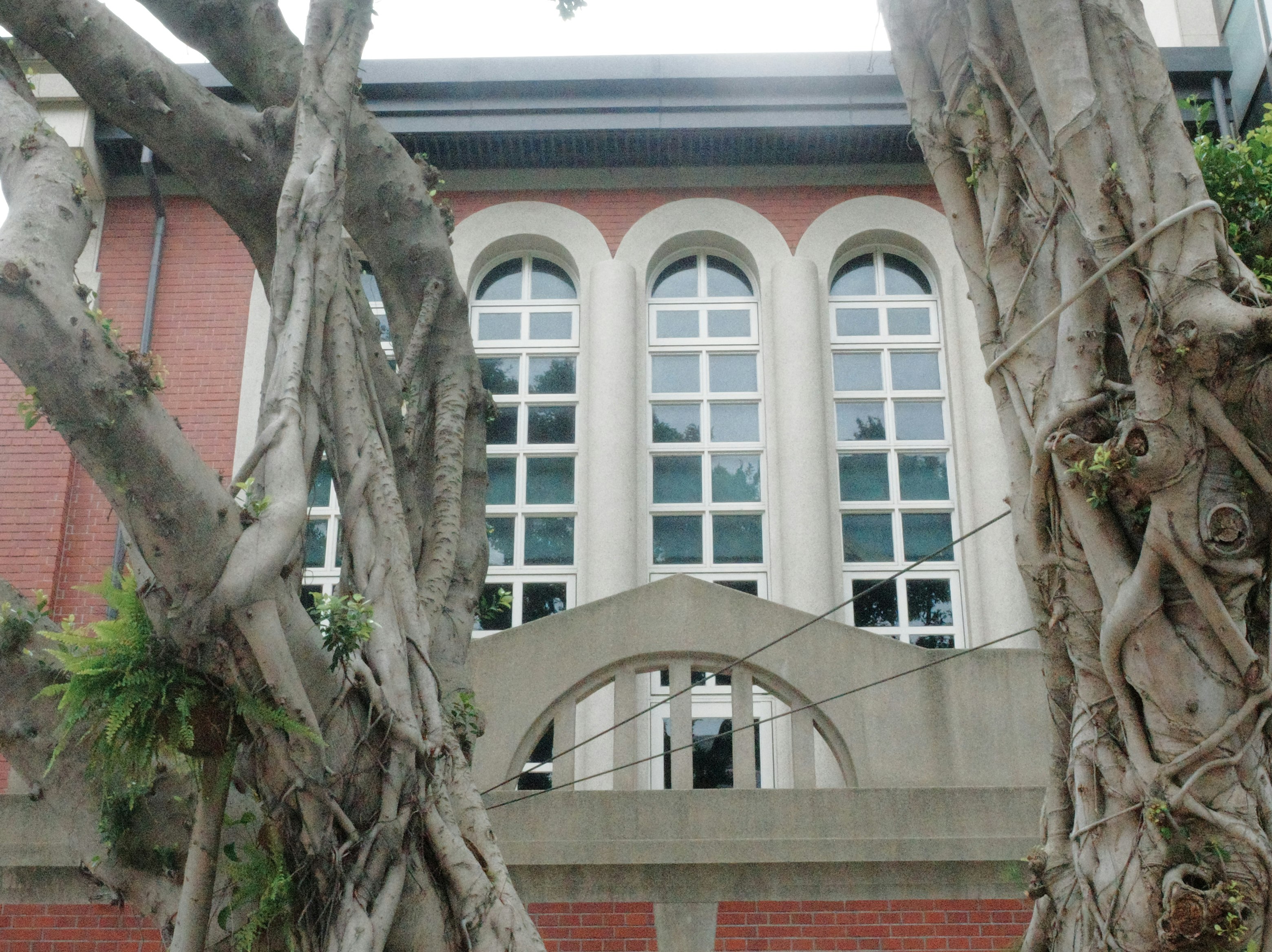 中庭の大木に囲まれたレンガと白いアーチの建物