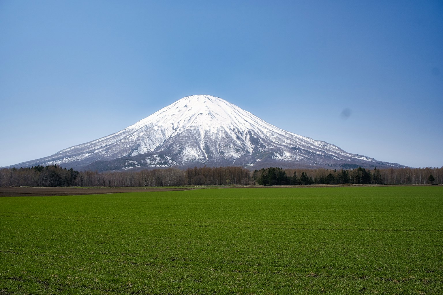 Gunung bersalju dengan ladang hijau yang cerah di latar depan