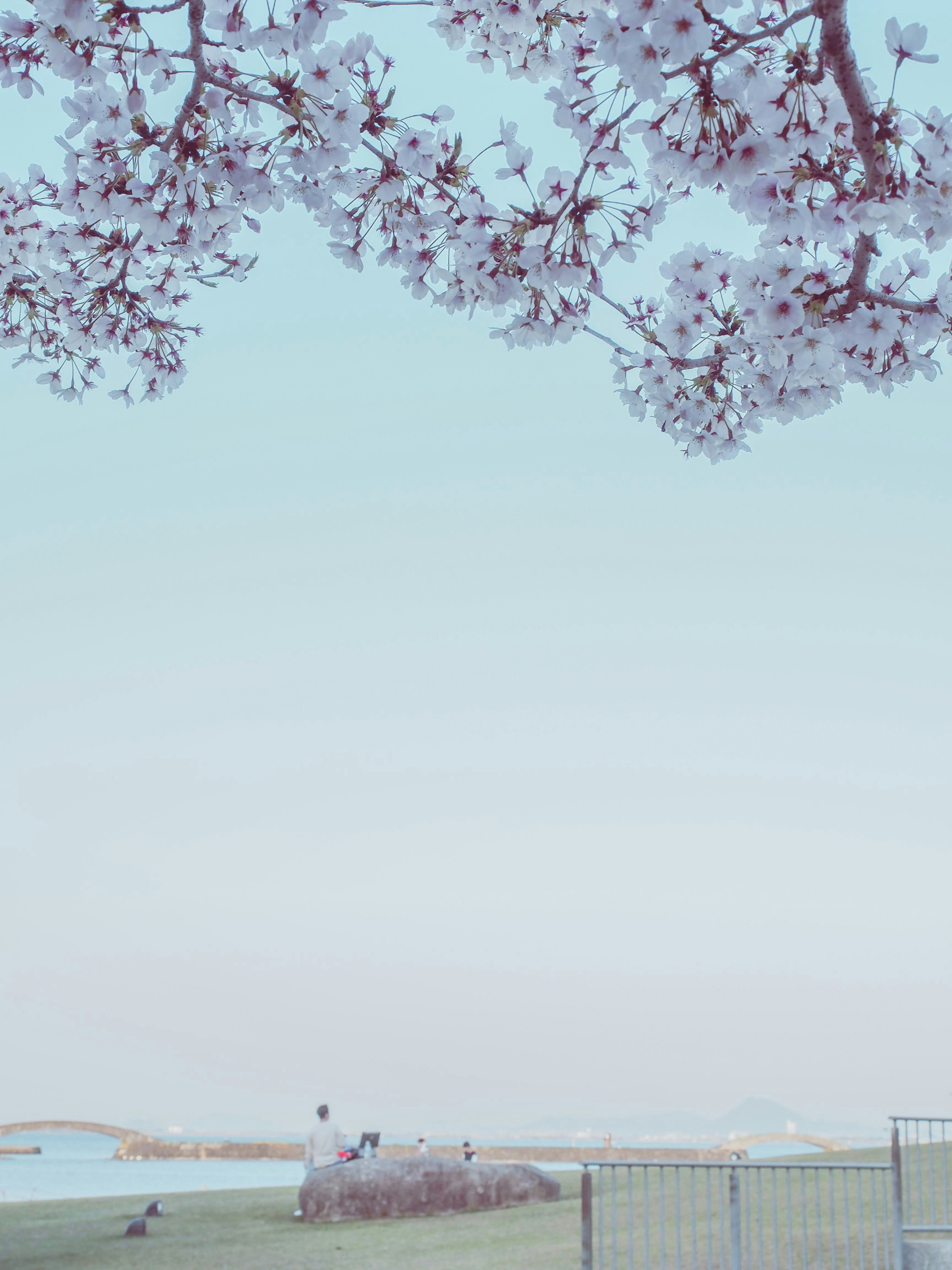 2GDQpPJU3tL7m8DBvmLV-cover-image