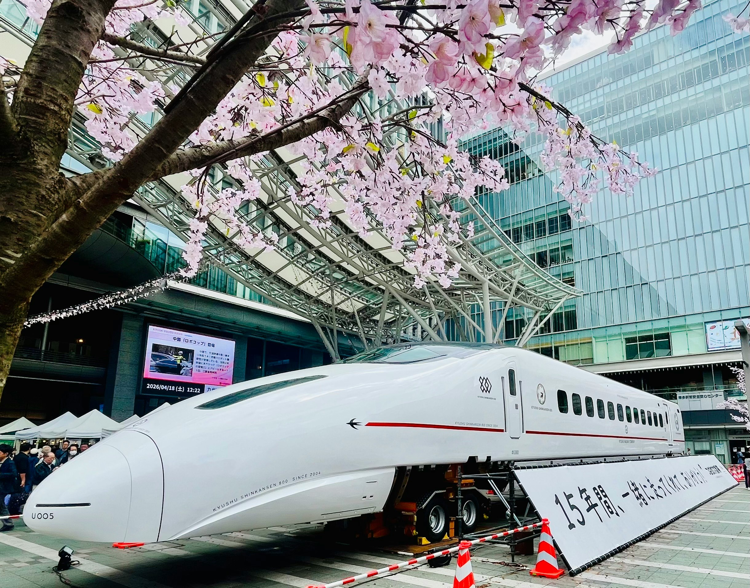 桜の枝と駅構内に停車する新幹線