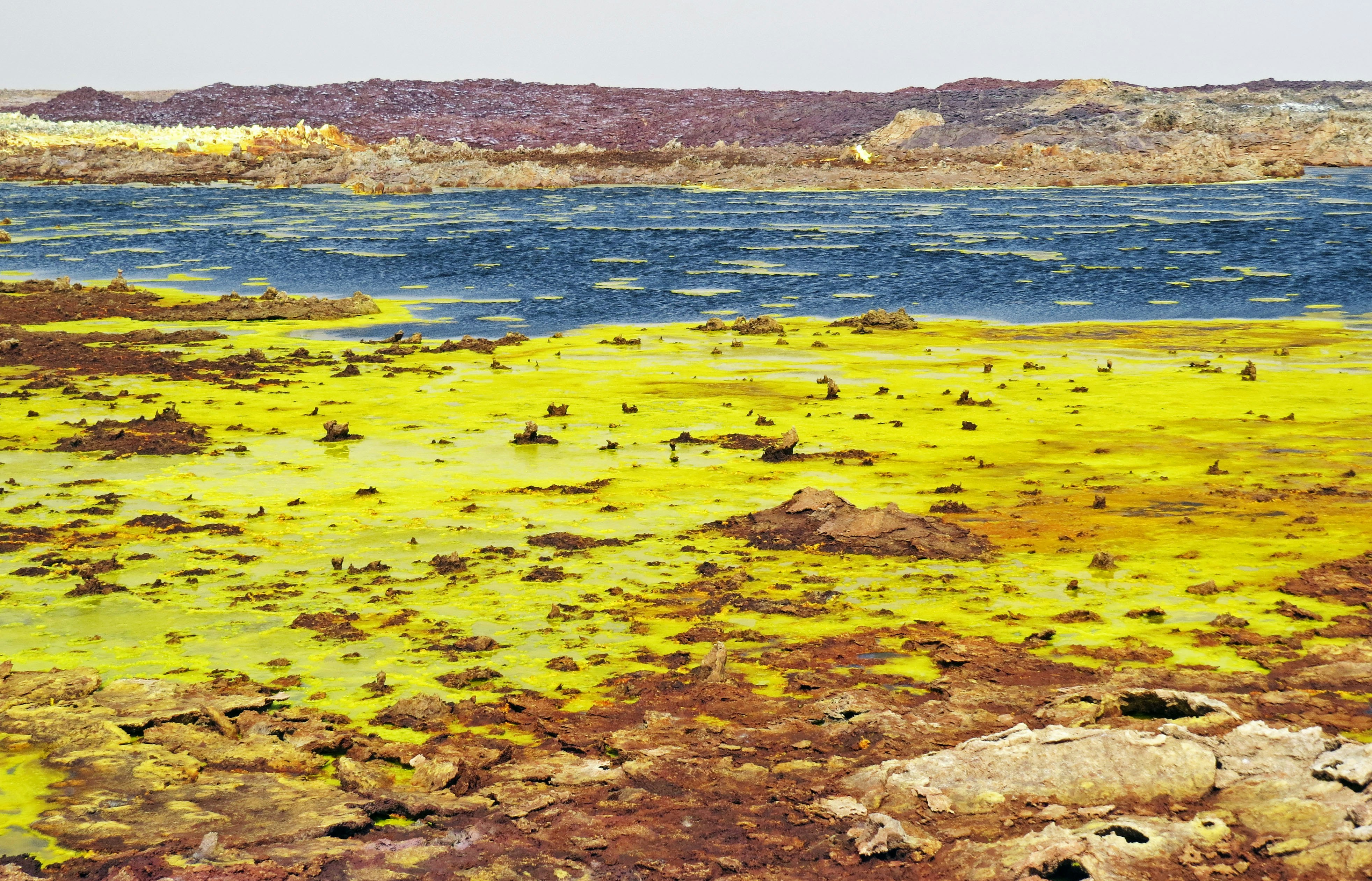 pantai berbatu dengan air dan batu tertutup alga berwarna cerah