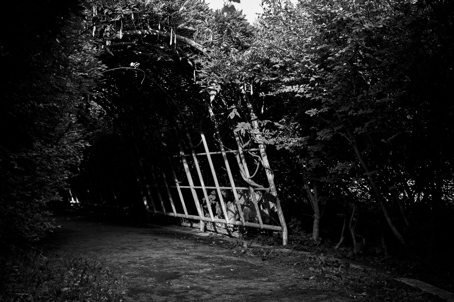 photo-GTYWS0JwHtuDg3u5O8oc-image