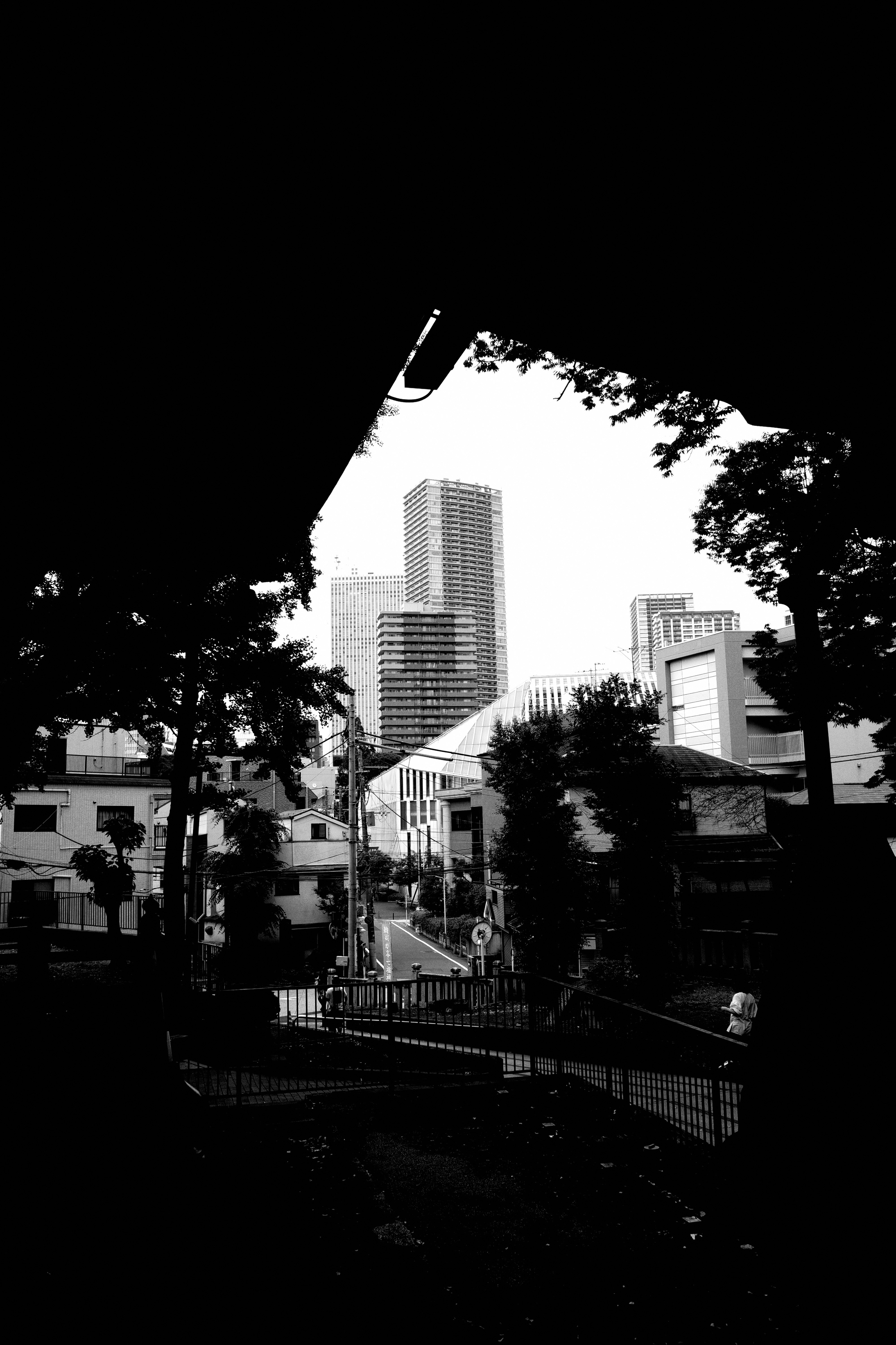 high-rise buildings and cityscape seen through trees