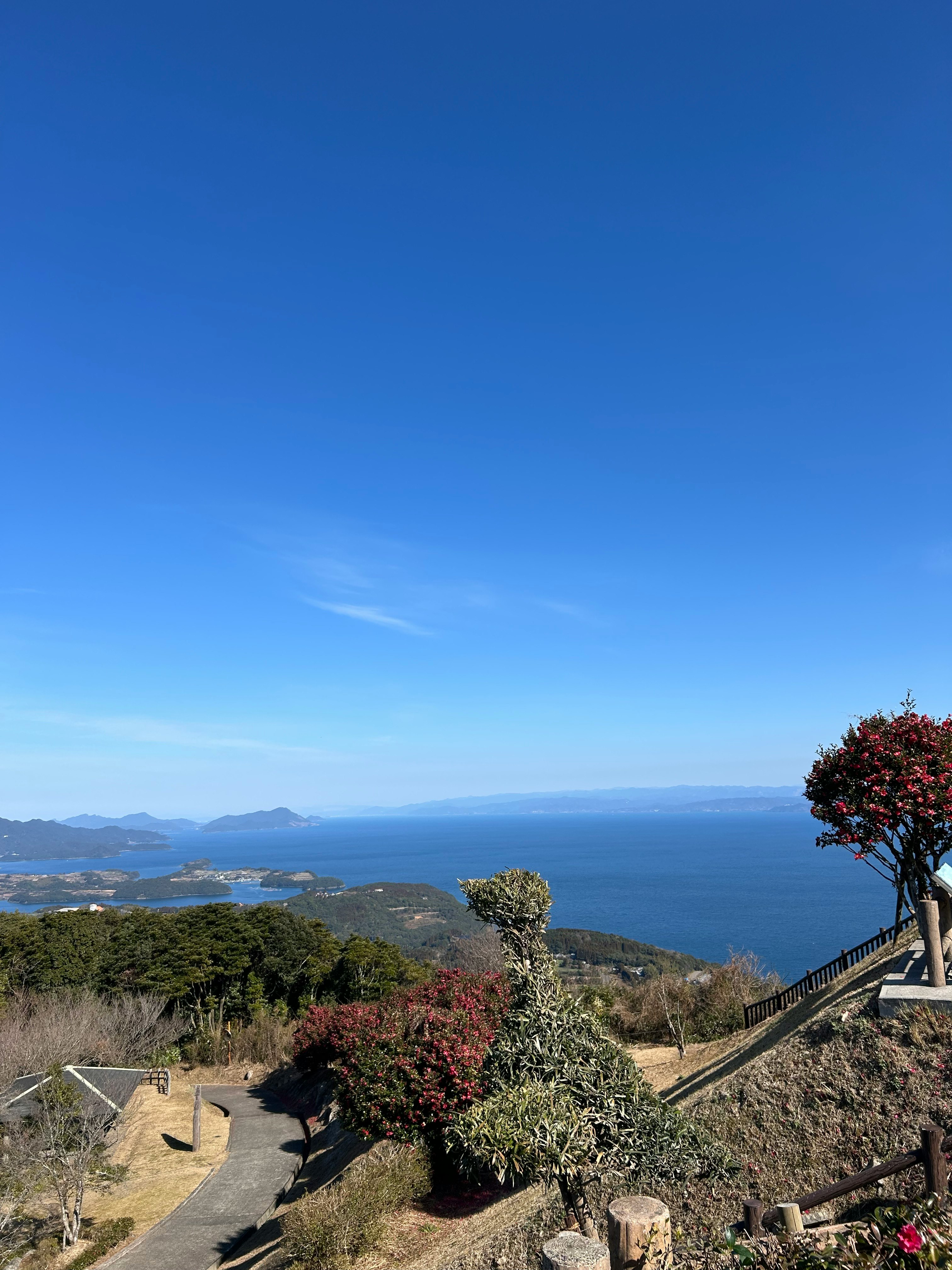 海を望む丘の展望路と低木の並ぶ景色