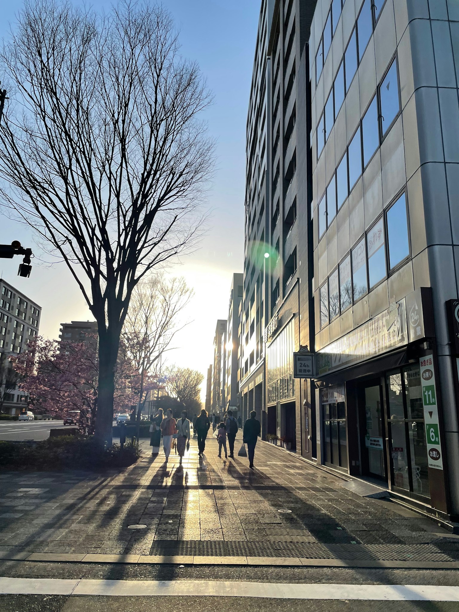 Menschen, die bei Sonnenuntergang in einer städtischen Umgebung mit einem großen Baum spazieren