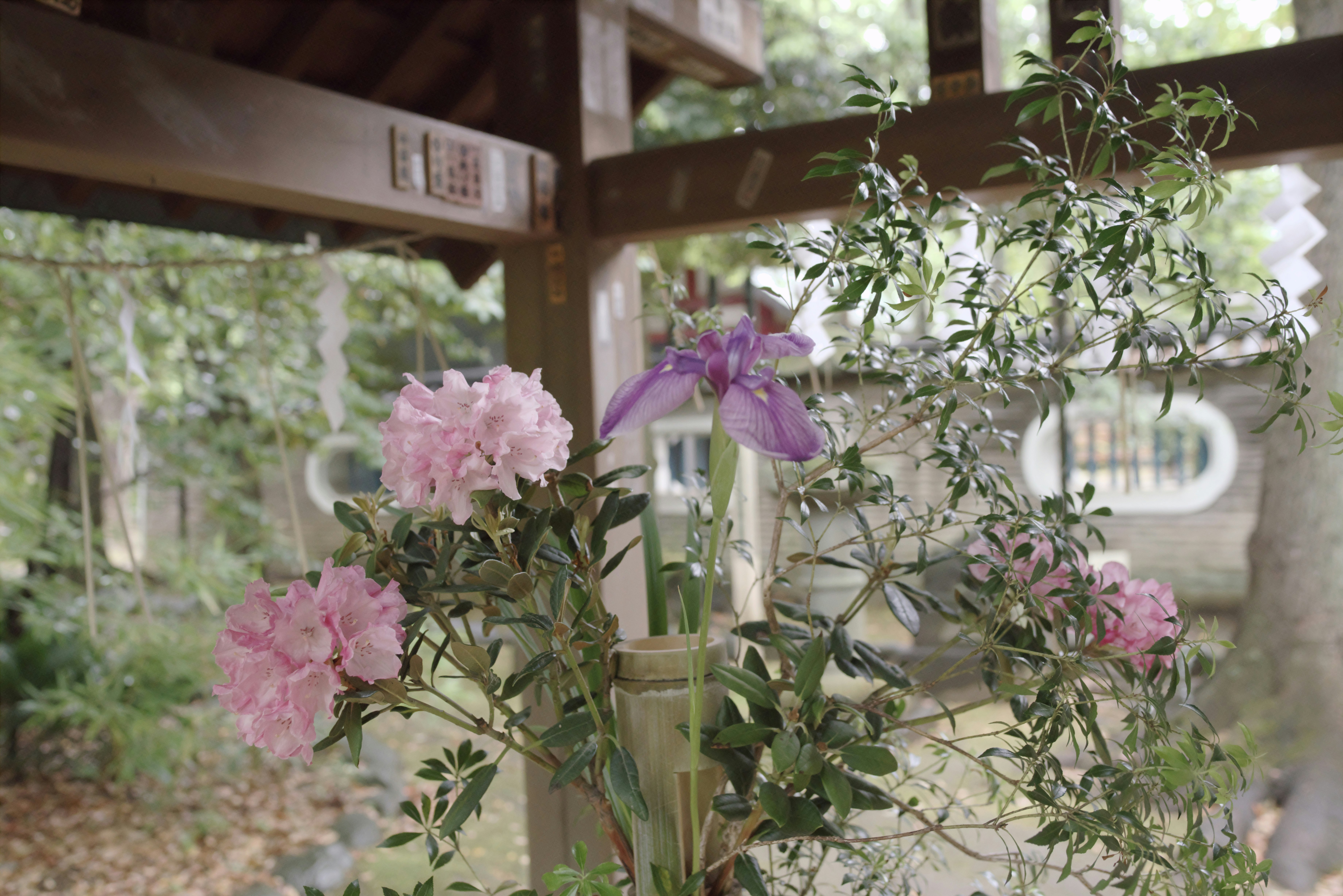 木陰のベンチに飾られたピンクの花と緑の枝