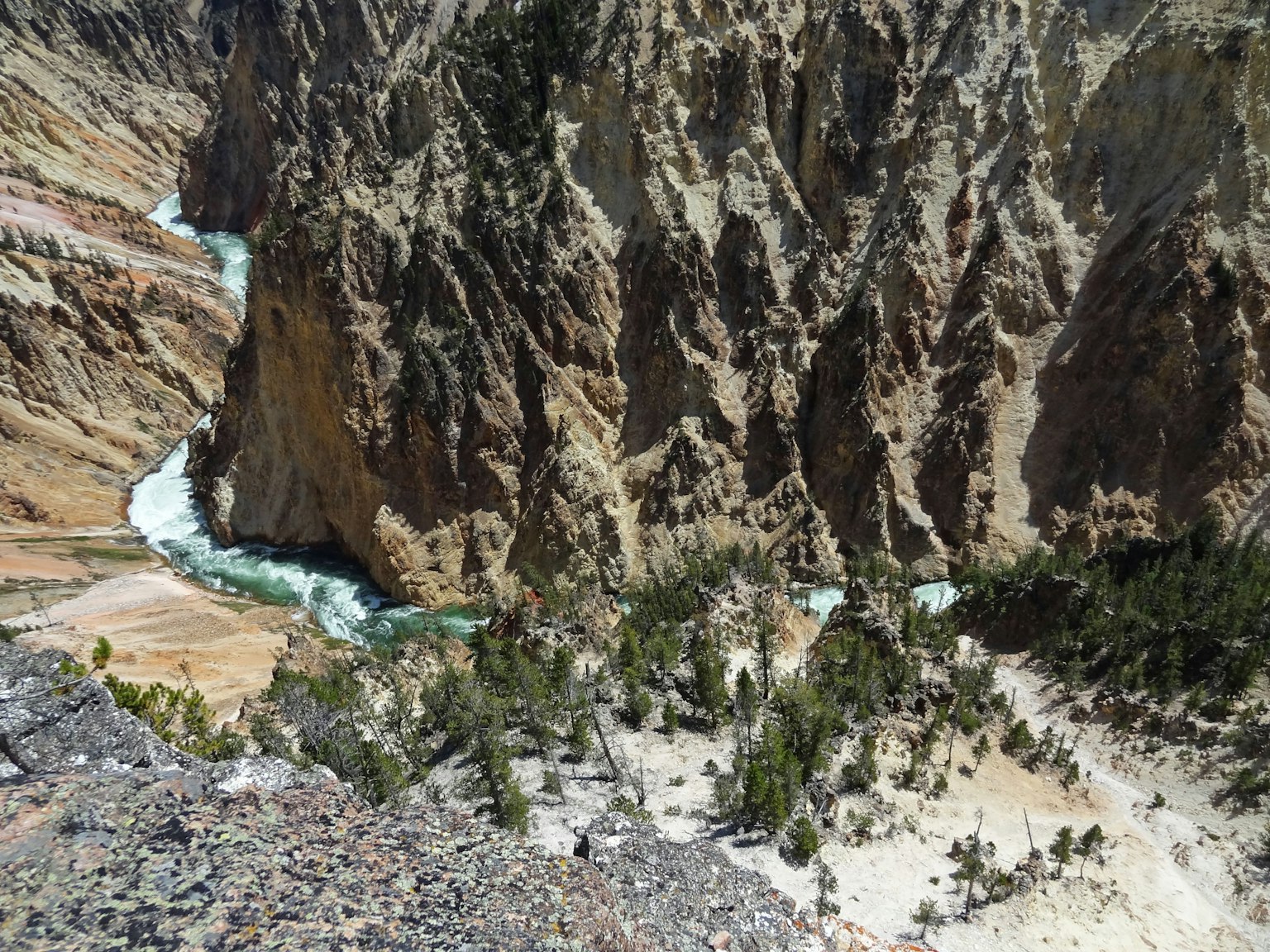 Vista mozzafiato del canyon e del fiume nel parco nazionale di Yellowstone