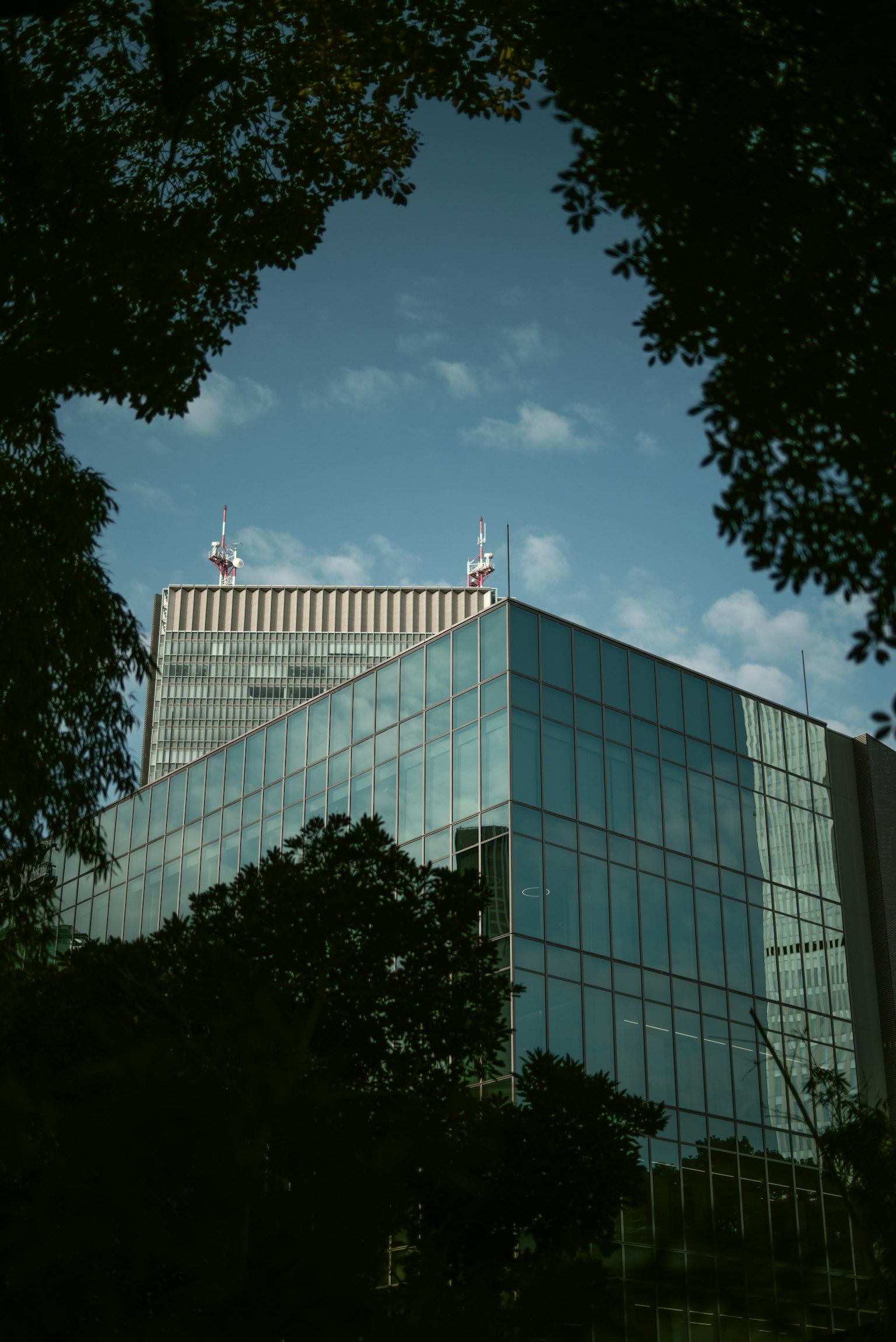现代玻璃建筑与蓝天和树木框架