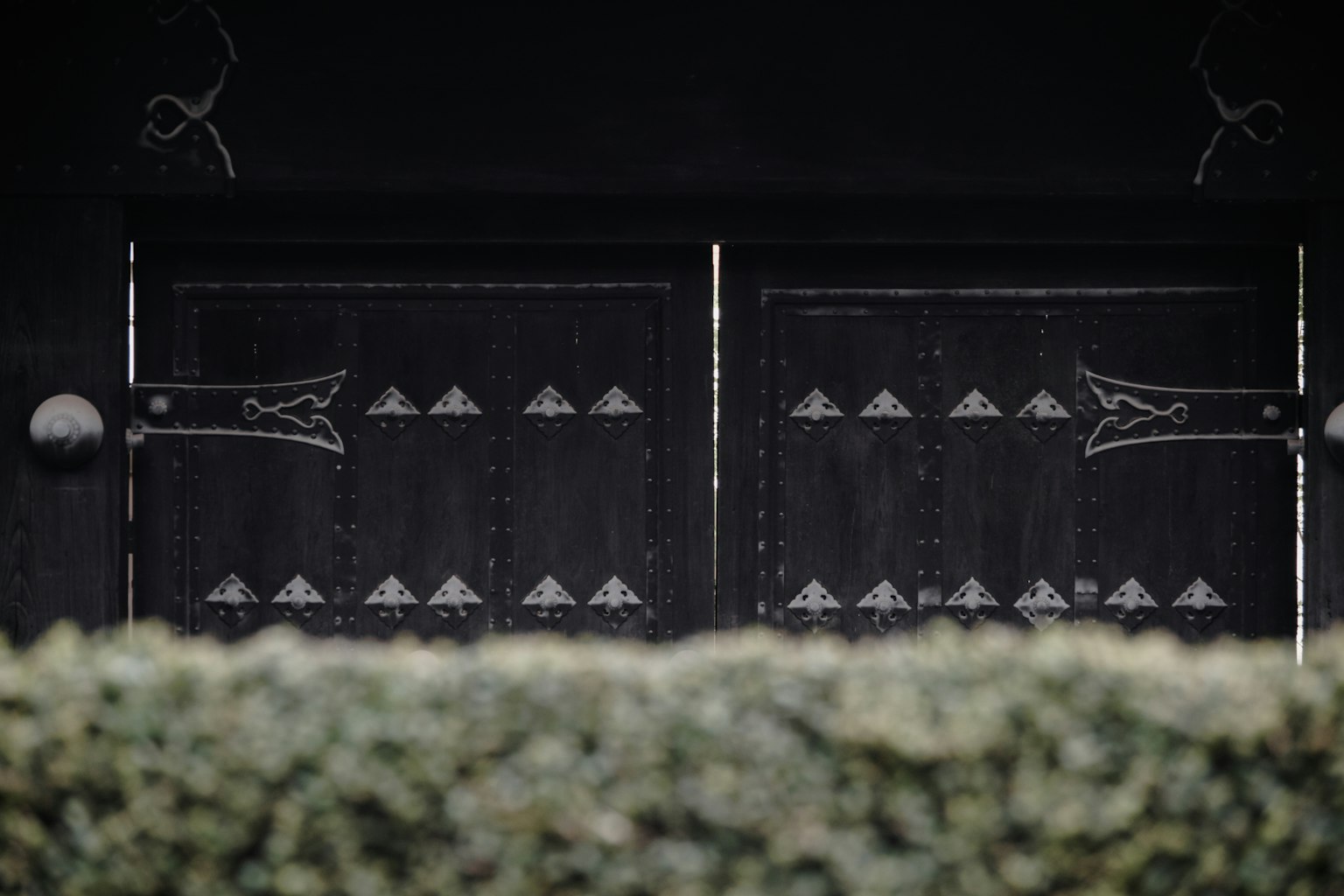 Gambar pintu hitam dengan desain logam dekoratif