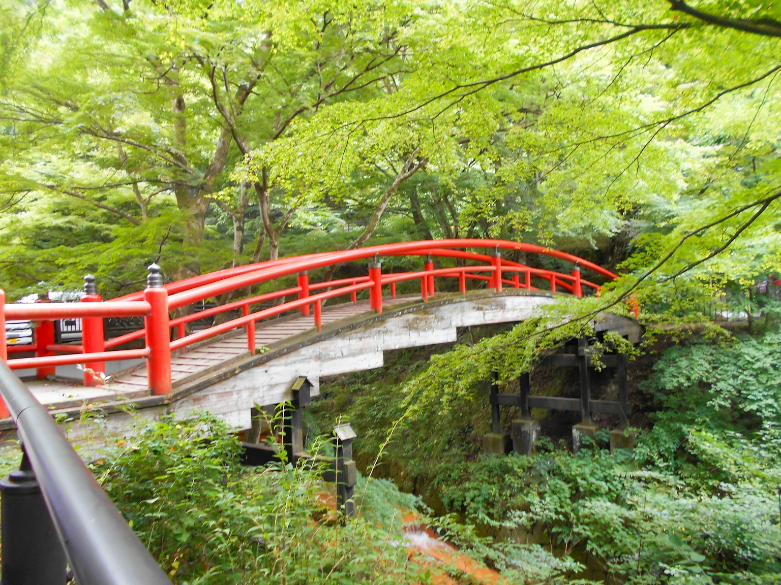 Eine rote Brücke, umgeben von üppigen grünen Bäumen