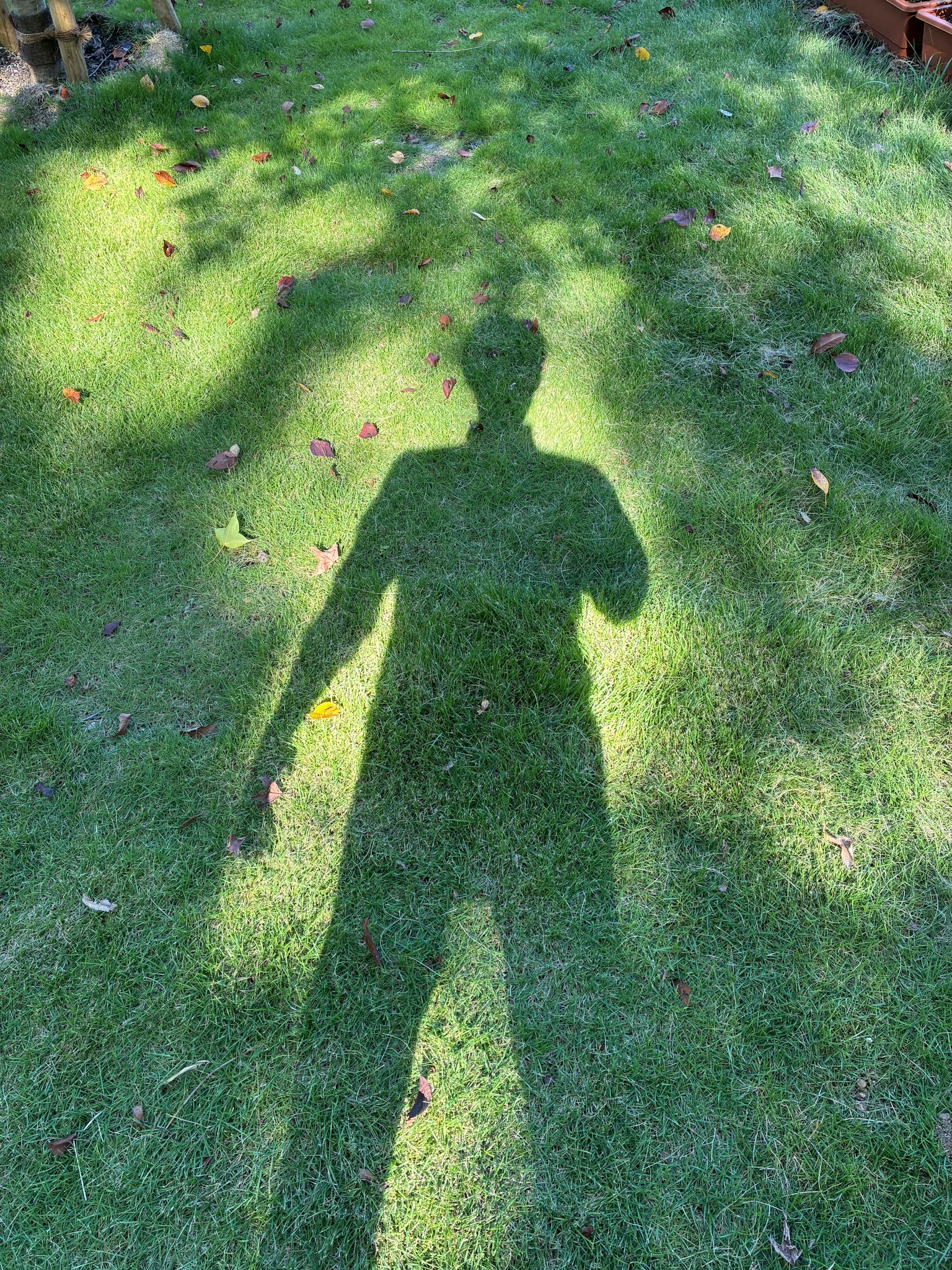 photo-GW1tJVYT8y1ItlJJFNIH-image