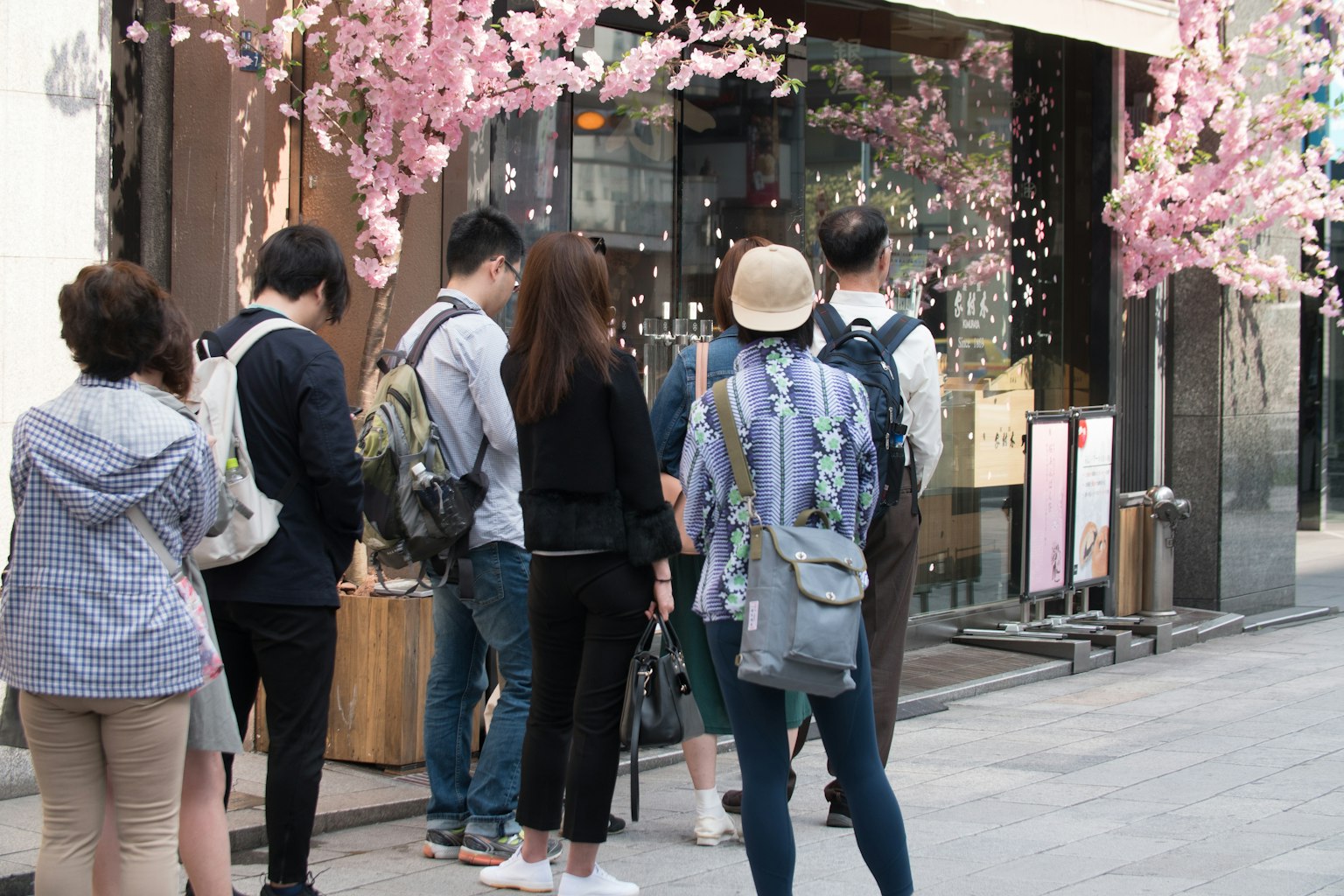 游客站在装饰有樱花的商店前