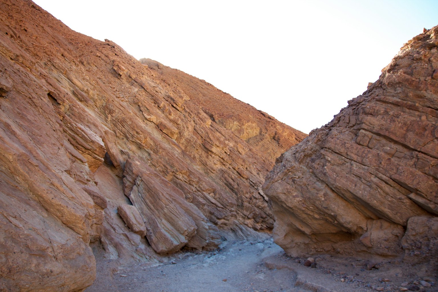 Landschaftsansicht eines trockenen Canyons mit rötlich-braunen Felsen