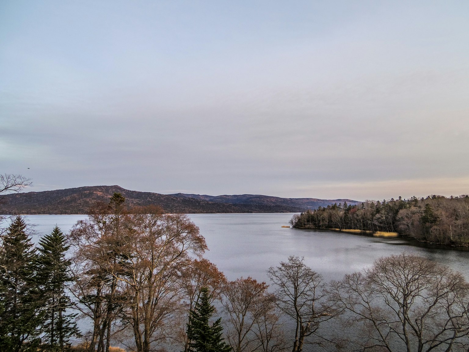 Paisaje tranquilo con un lago y árboles
