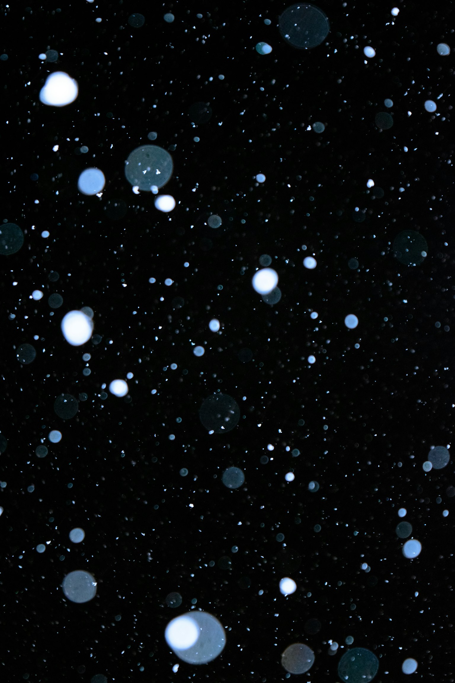Scène d'hiver avec des flocons de neige bleus flottant sur un fond noir
