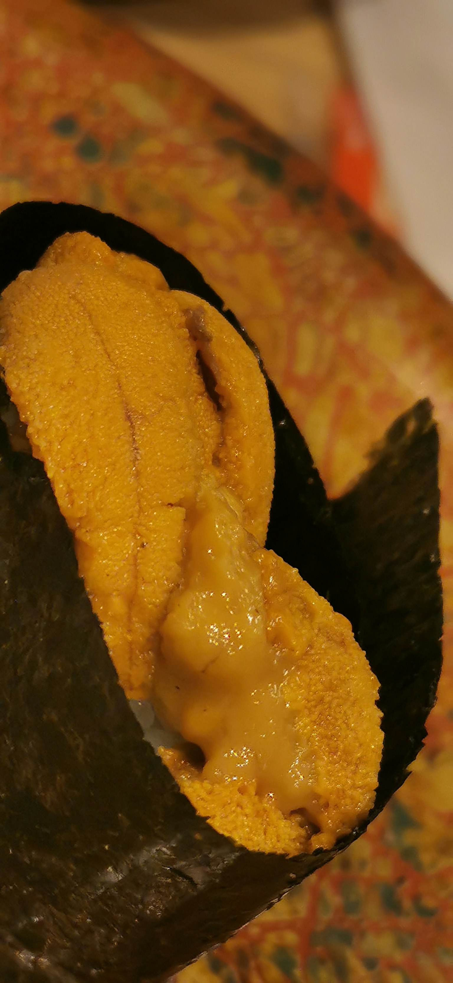 Urchin de mer orange vif enveloppé dans des algues noires
