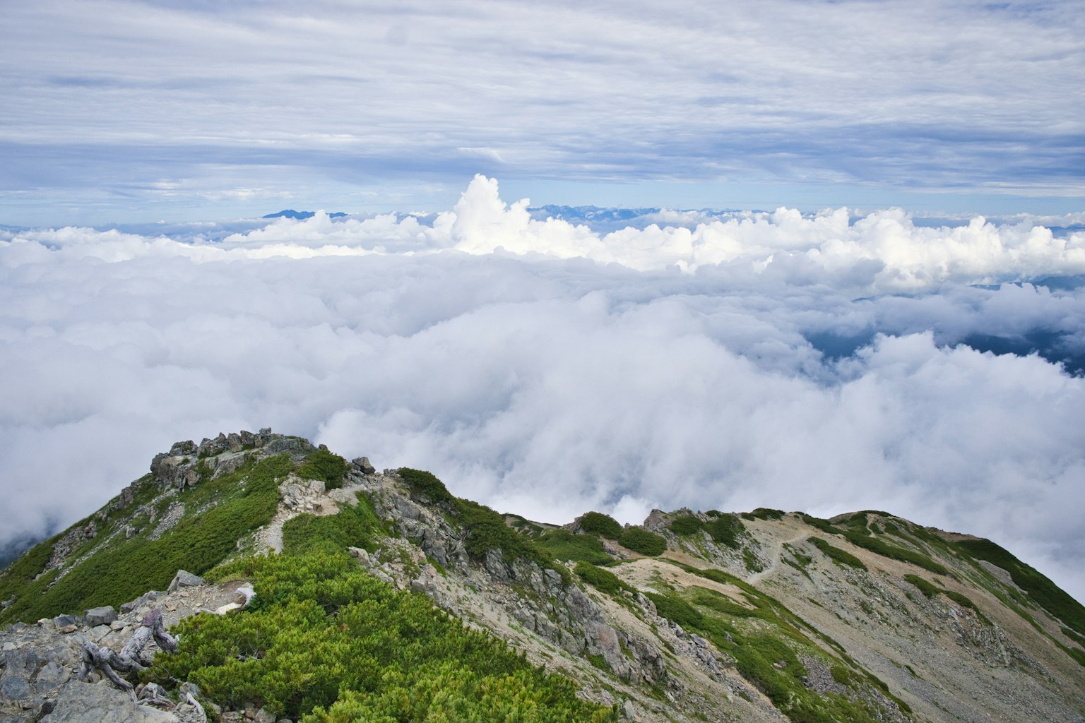 Vue magnifique depuis un sommet de montagne au-dessus des nuages