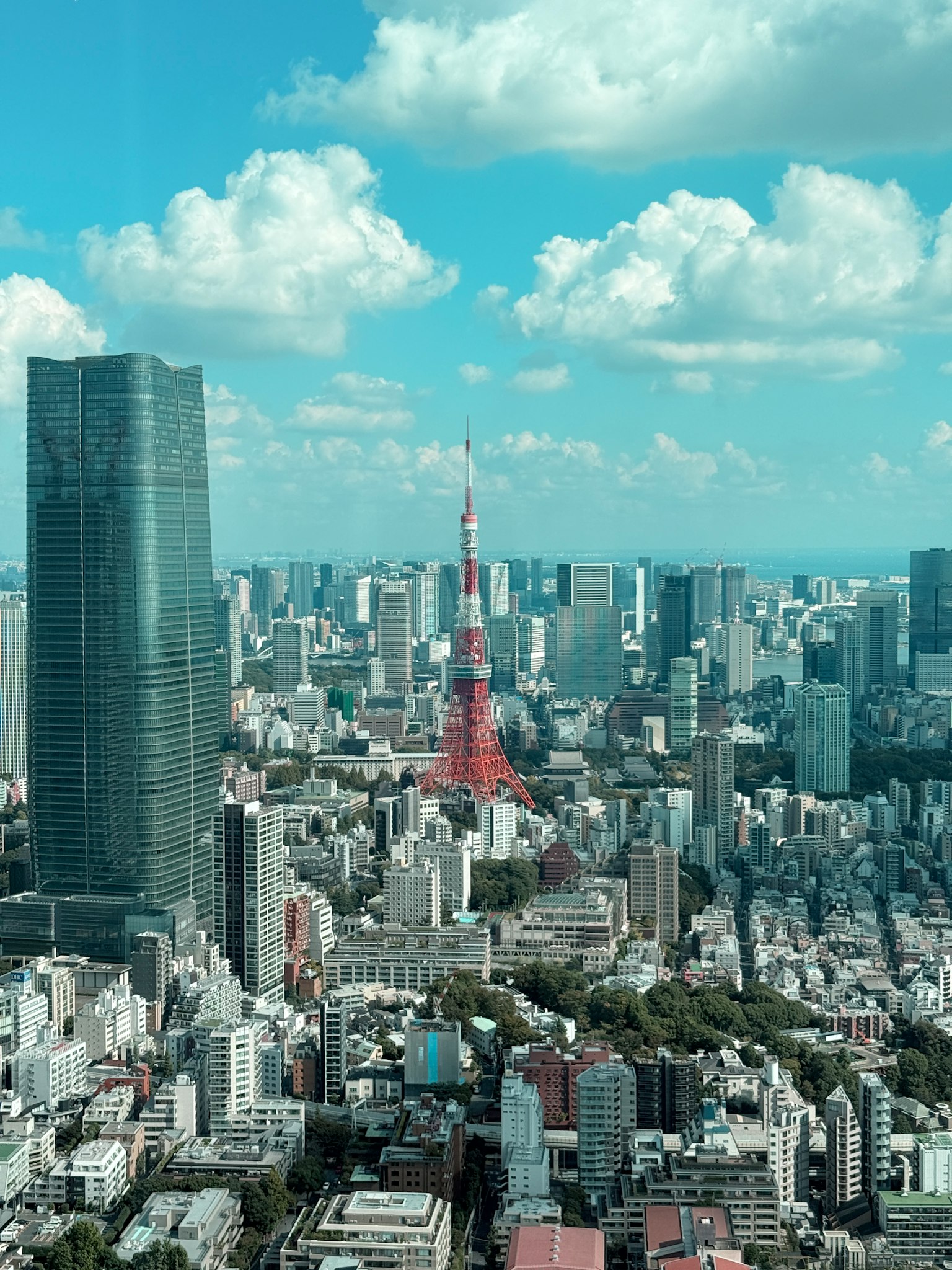 東京塔和摩天大樓的全景