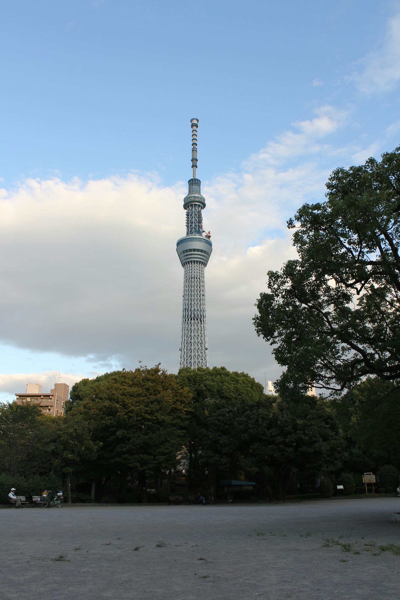 Tokyo Skytree ripreso da un'angolazione bassa con alberi e cielo blu sullo sfondo