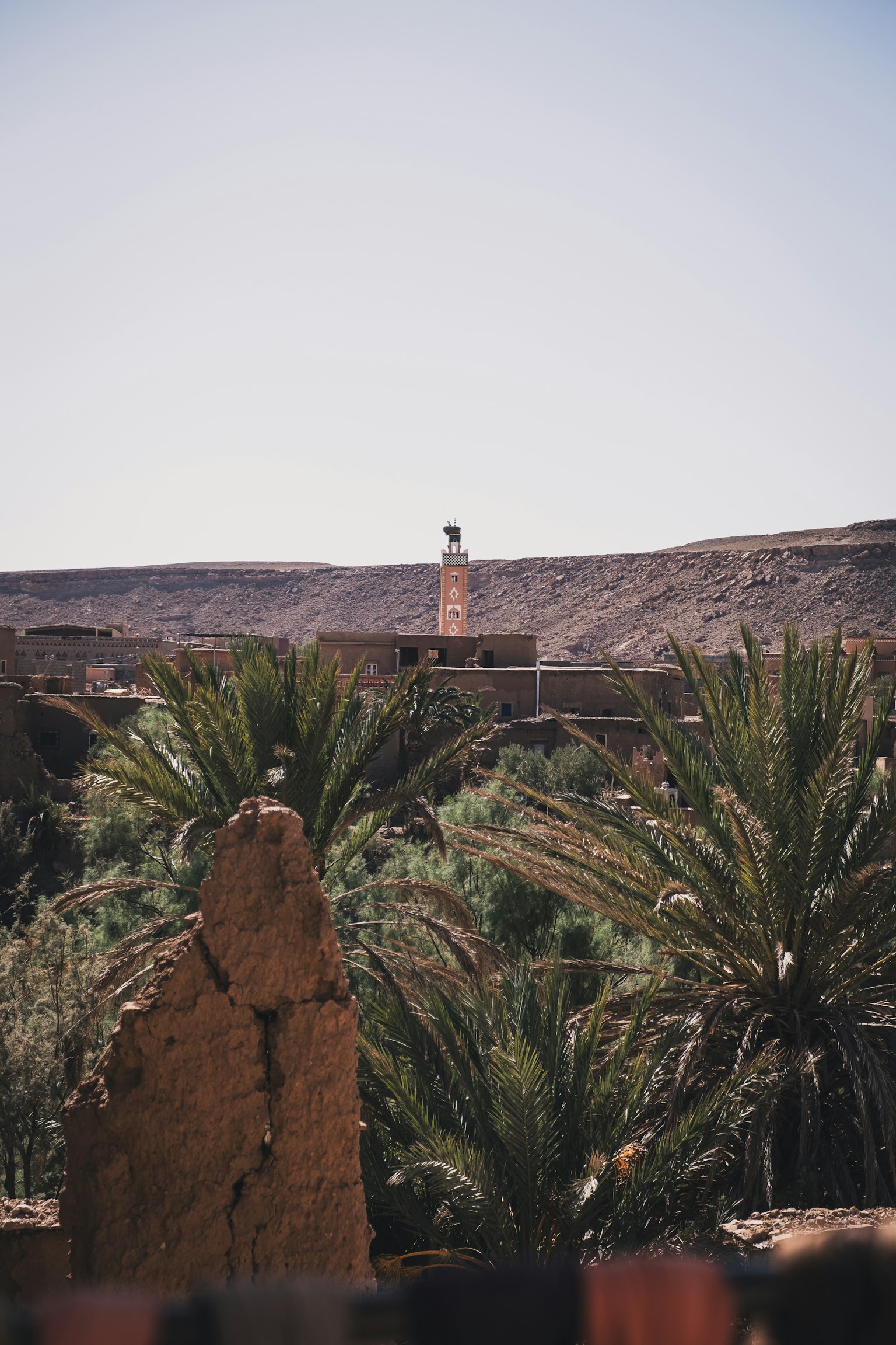 Palmeras en un oasis con una torre a lo lejos