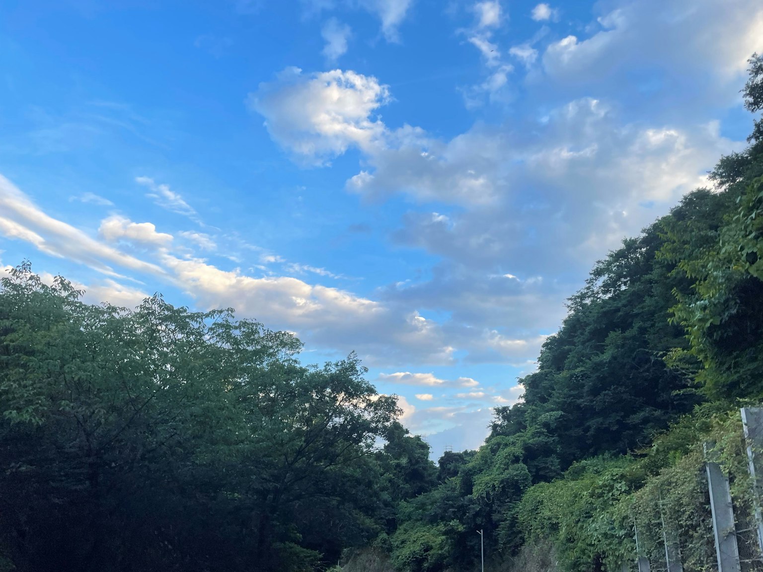 Une vue d'un ciel bleu avec des nuages blancs entouré d'arbres verts luxuriants le long d'un chemin