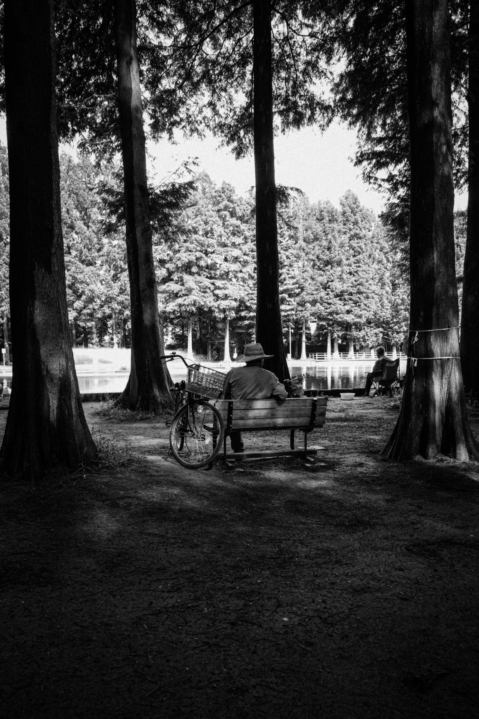 Una persona sentada en un banco en un parque en blanco y negro con una bicicleta