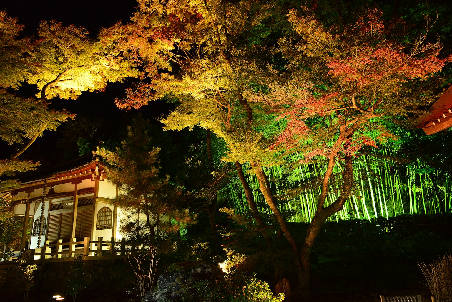 Schöner japanischer Garten mit Herbstlaub und Bambus bei Nacht