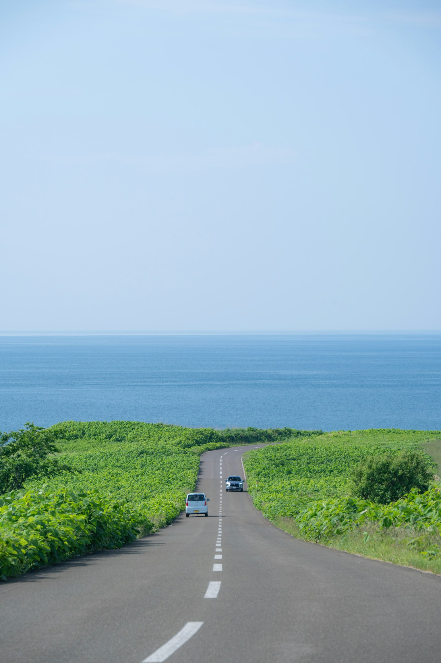 一條被綠色草地和藍色海洋環繞的道路