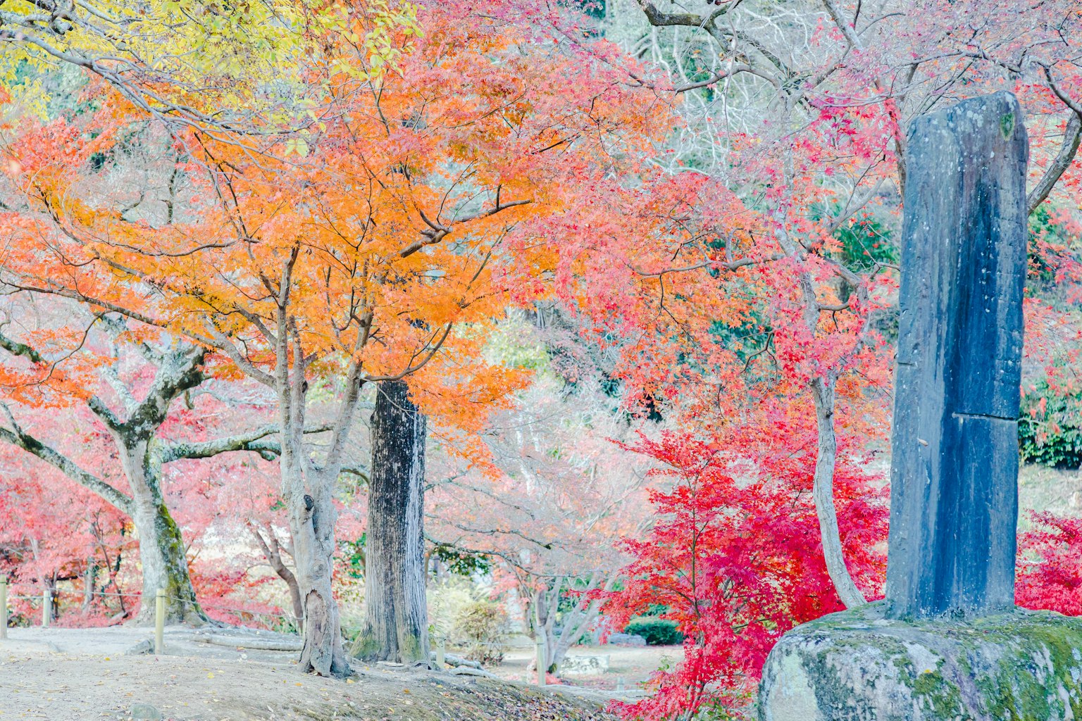 Foliage d'automne vibrant avec des arbres orange et rouge et des monuments en pierre