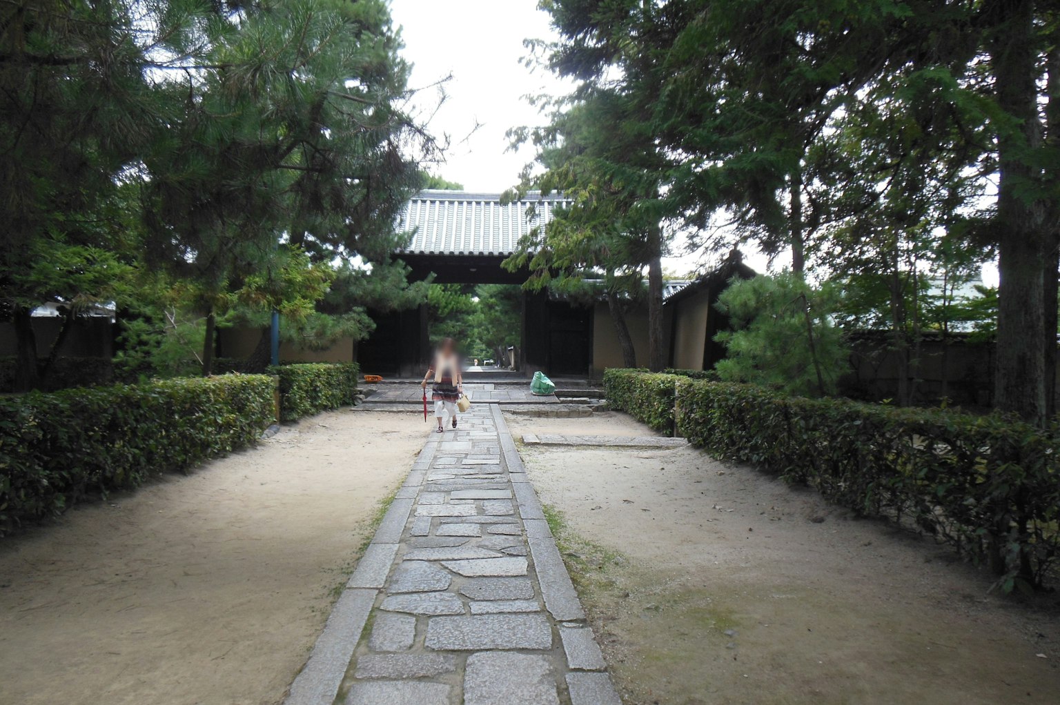 Weg, der zu einem traditionellen japanischen Garten mit viel Grün führt