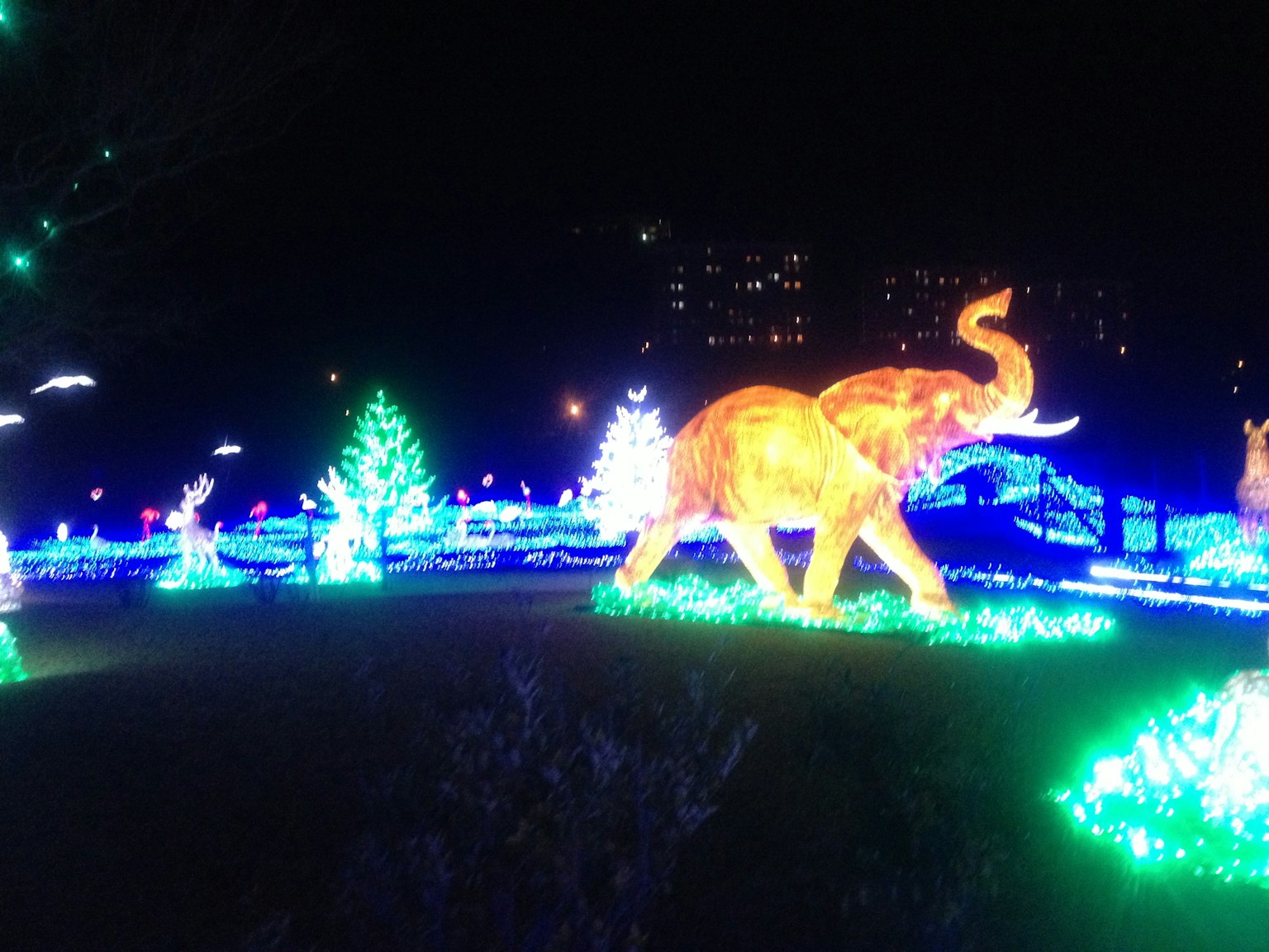 Decorazione a forma di elefante illuminata in un parco di notte con luci colorate