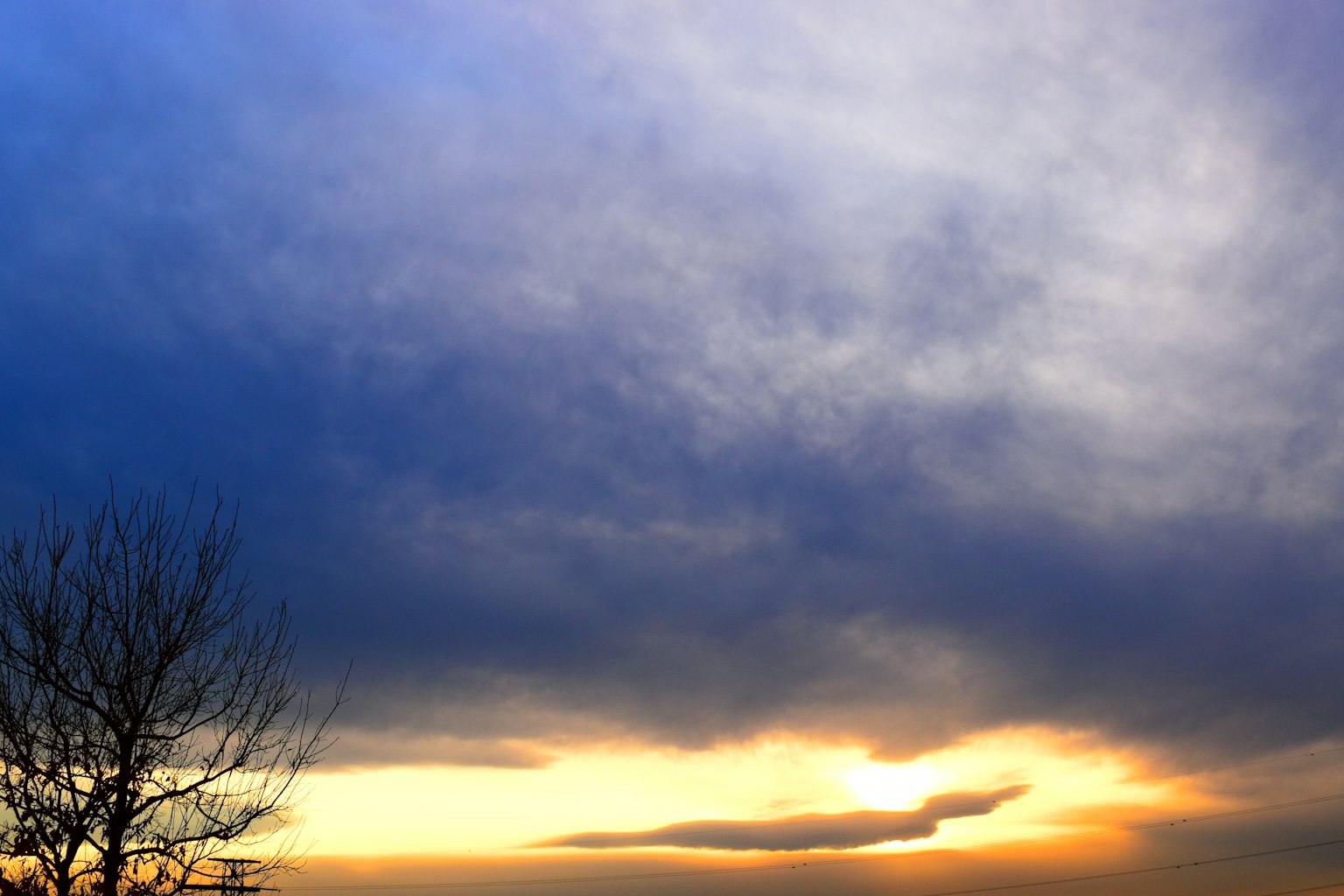 Silueta de un árbol contra un cielo de atardecer colorido