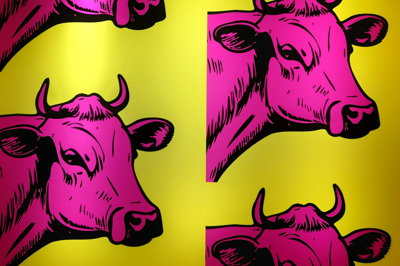 Illustration de vaches roses disposées sur un fond jaune