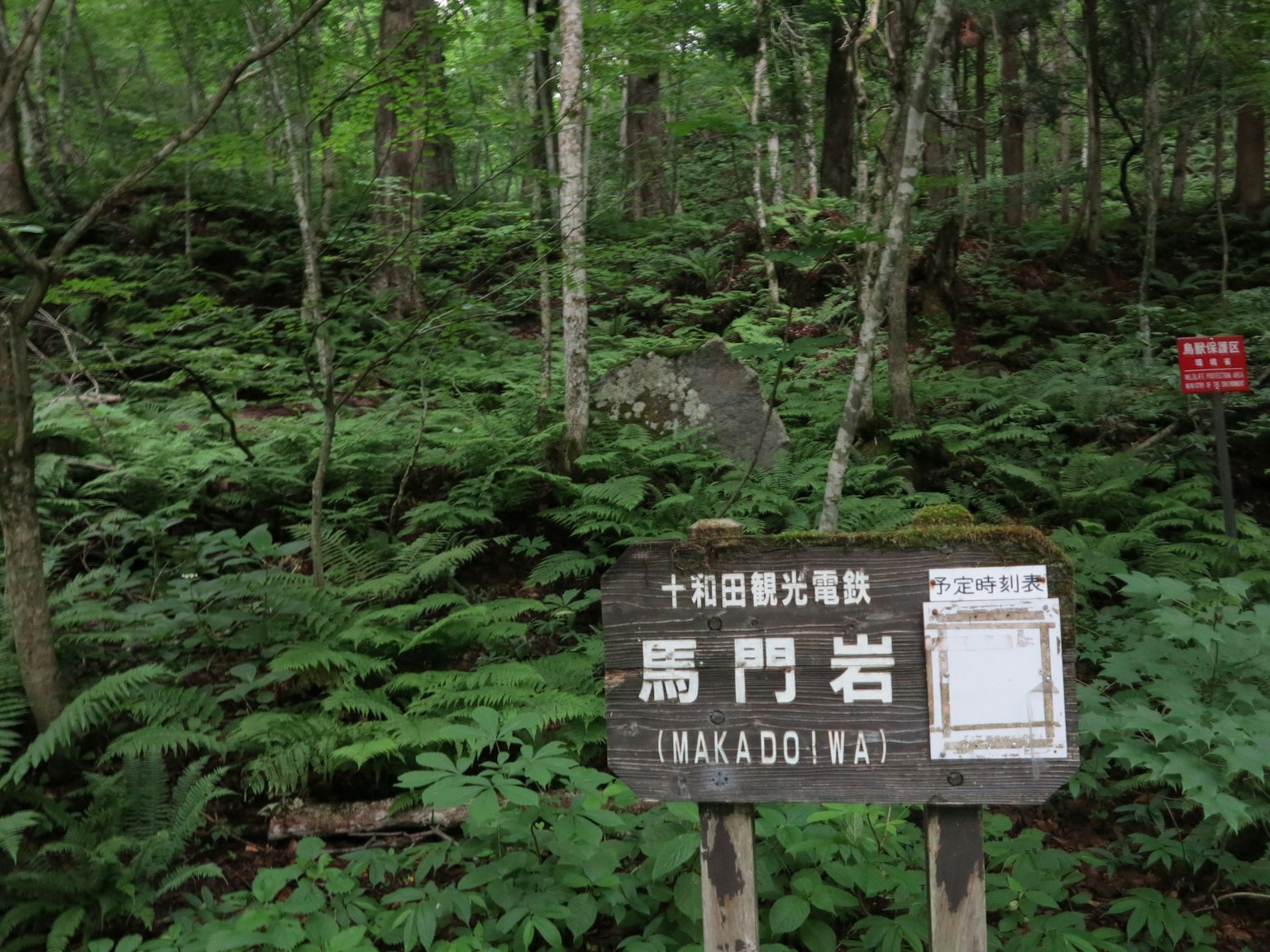 Schild für den Takadoi-Felsen umgeben von üppigem Wald