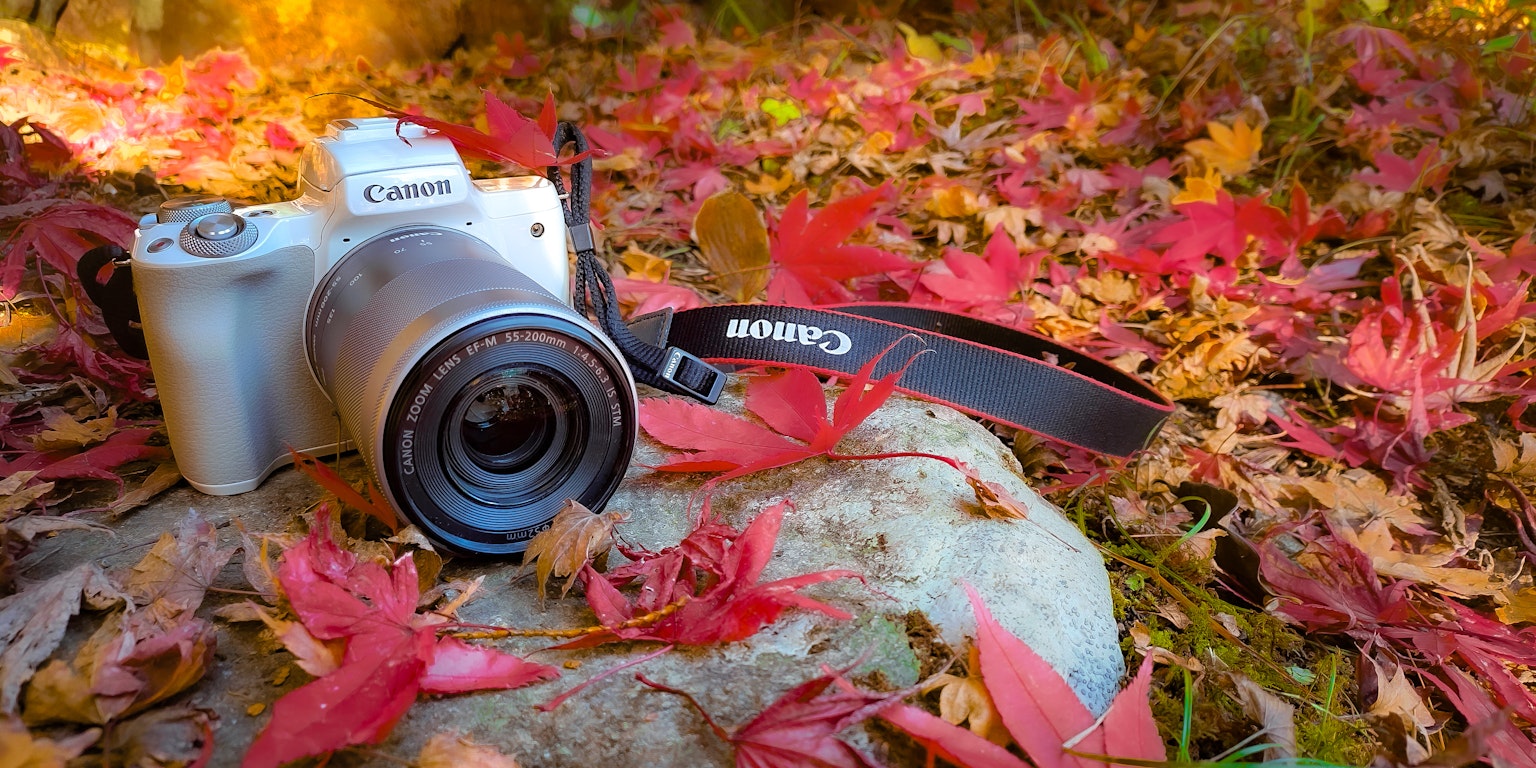 赤い葉の上に置かれたカメラとレンズのクローズアップ